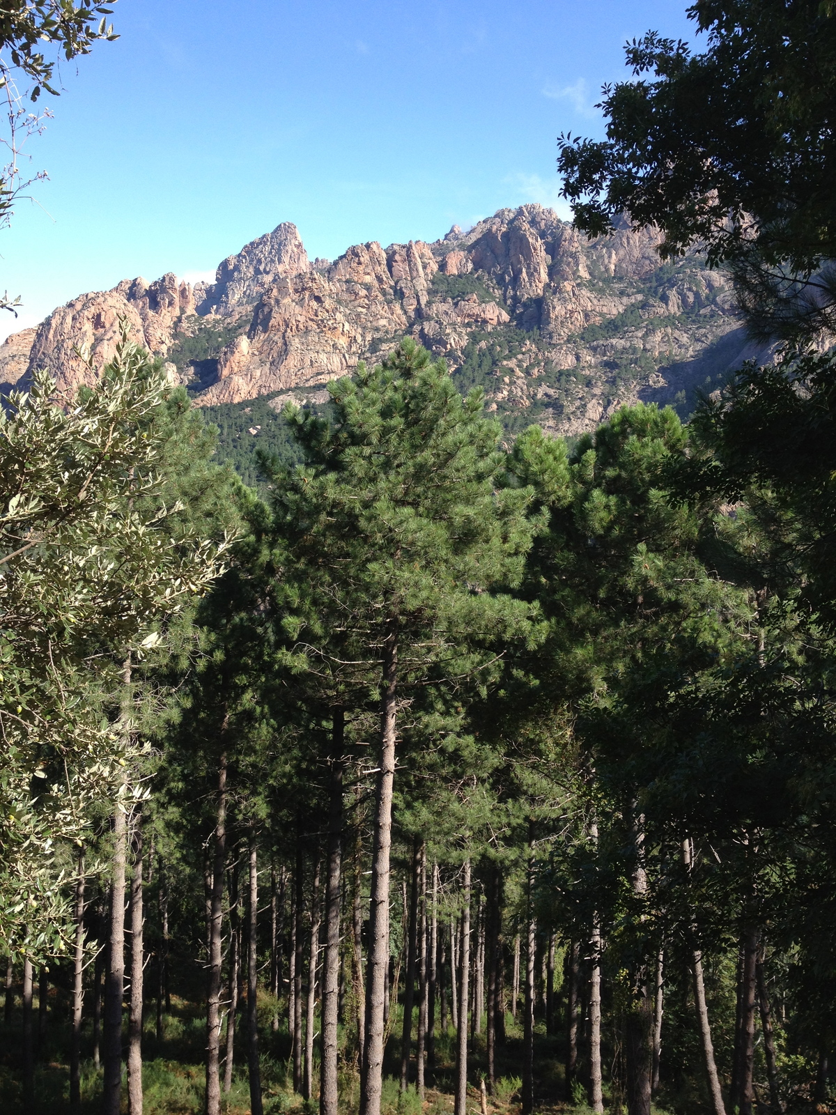 รูปถ่าย ฝรั่งเศส(France) คอร์สิคา(Corsica) บาแวลลา(Bavella) 2012-09 95