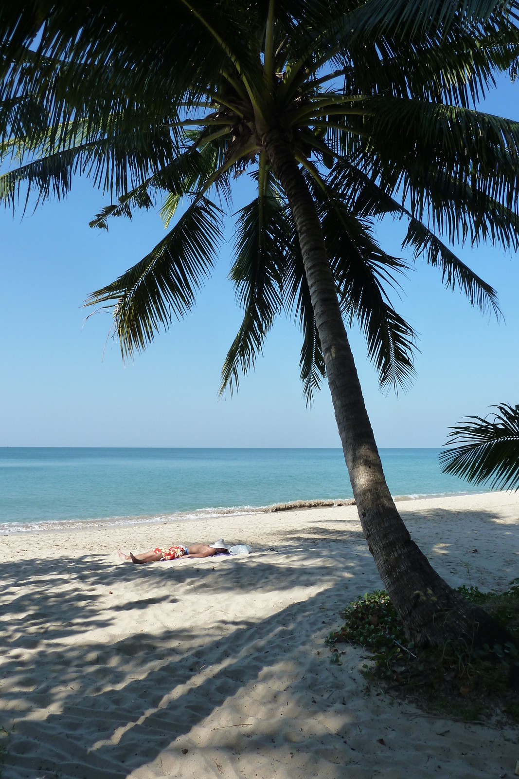 รูปถ่าย ไทย(Thailand) เกาะช้าง(Ko Chang) 2011-01 9
