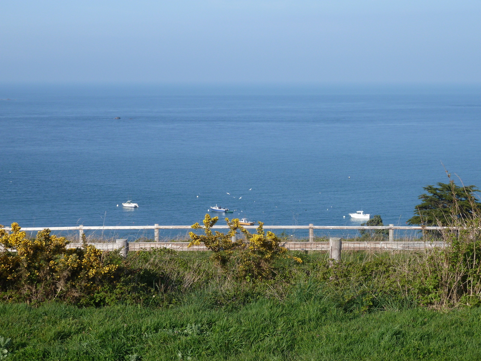 รูปถ่าย ฝรั่งเศส(France) แซ็งกูลง(St Coulomb) 2010-04 28