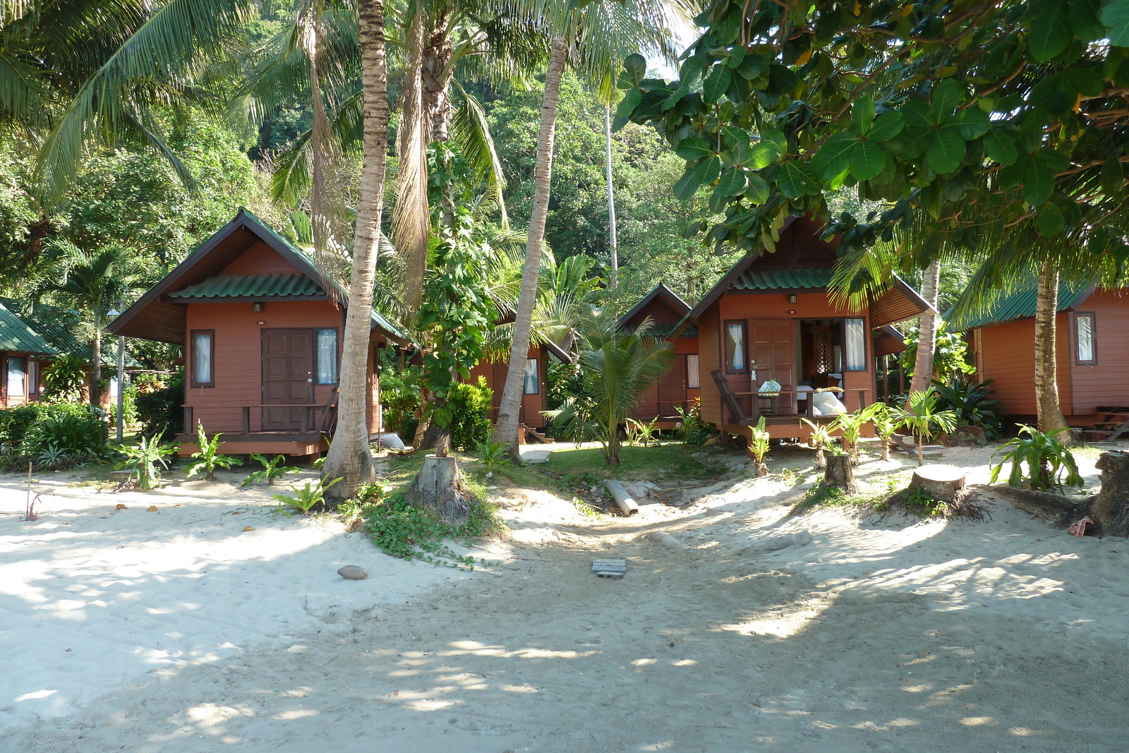 รูปถ่าย ไทย(Thailand) เกาะช้าง(Ko Chang) 2011-01 153