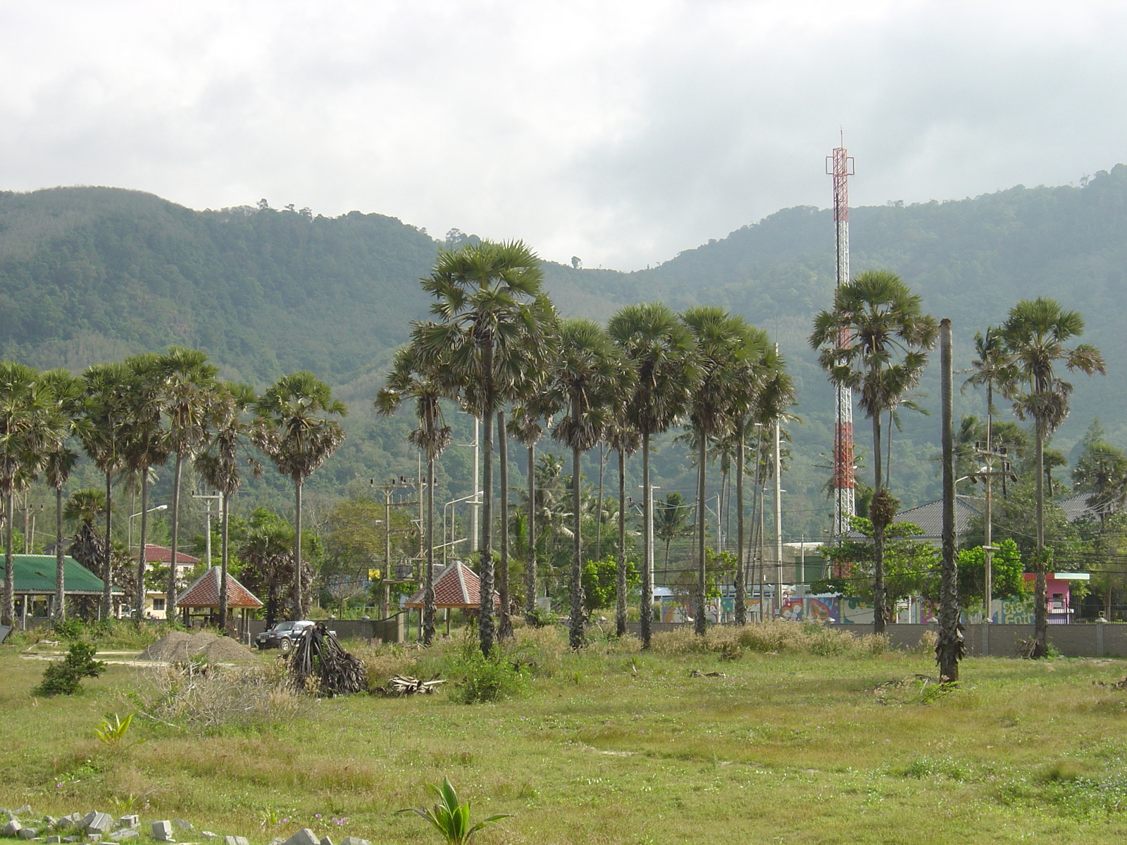 รูปถ่าย ไทย(Thailand) ภูเก็ต(Phuket) หาดกมลา(Kamala Beach) 2005-12 17