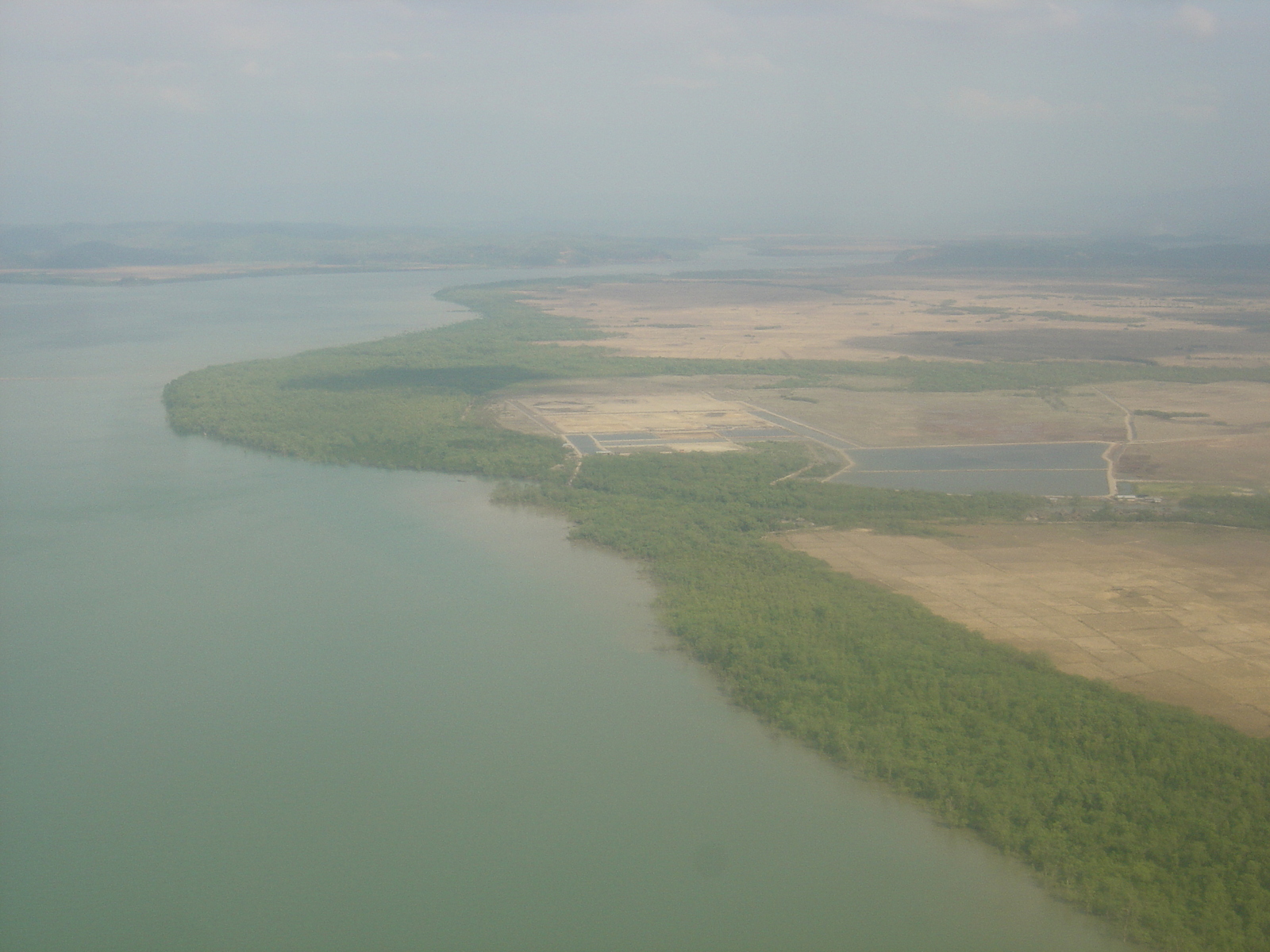 รูปถ่าย พม่า(Myanmar) มะริด(Myeik (Mergui)) 2005-01 192