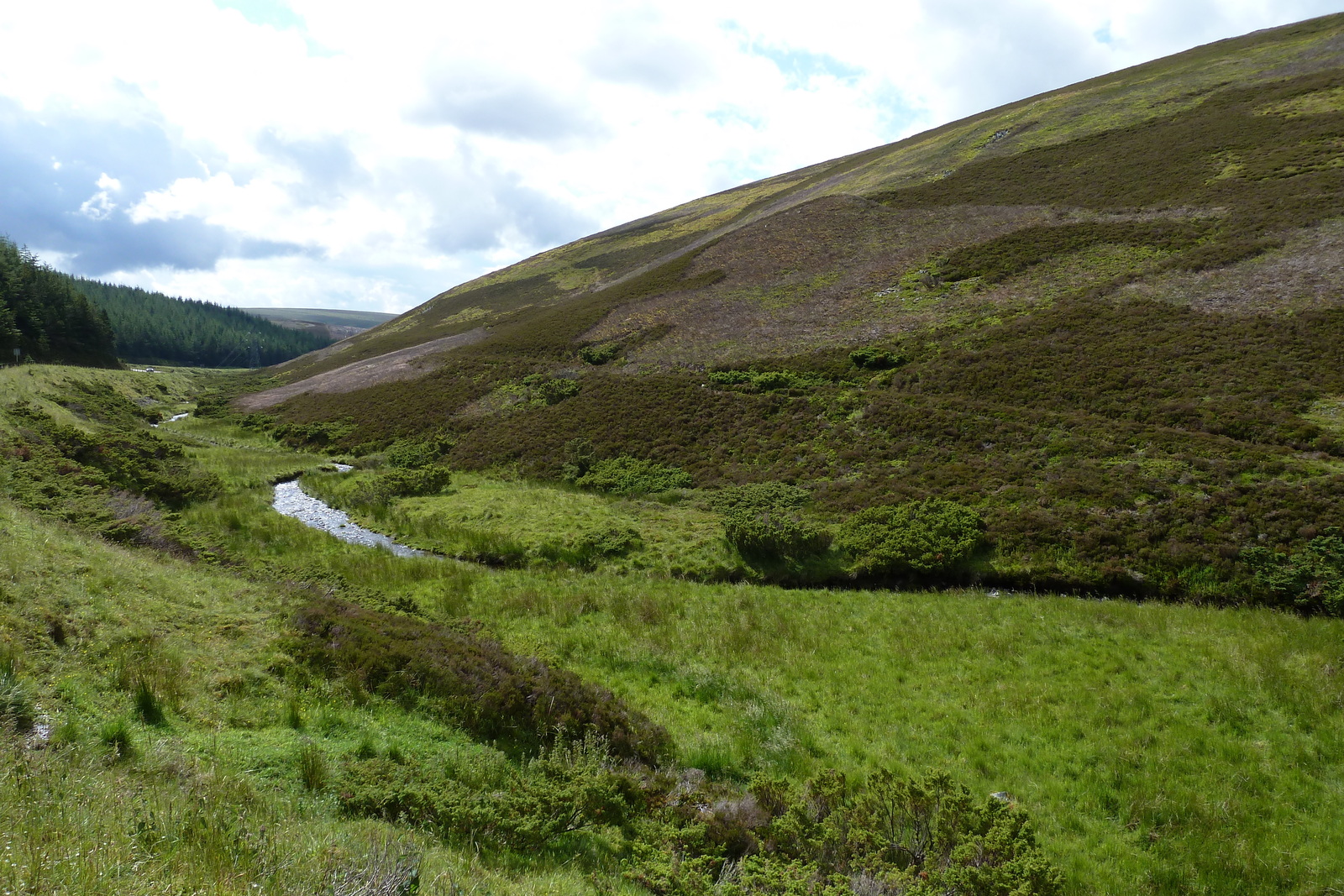 รูปถ่าย อังกฤษ(United Kingdom) อุทยานแห่งชาติแคร์นกอร์มส์(Cairngorms National Park) 2011-07 26