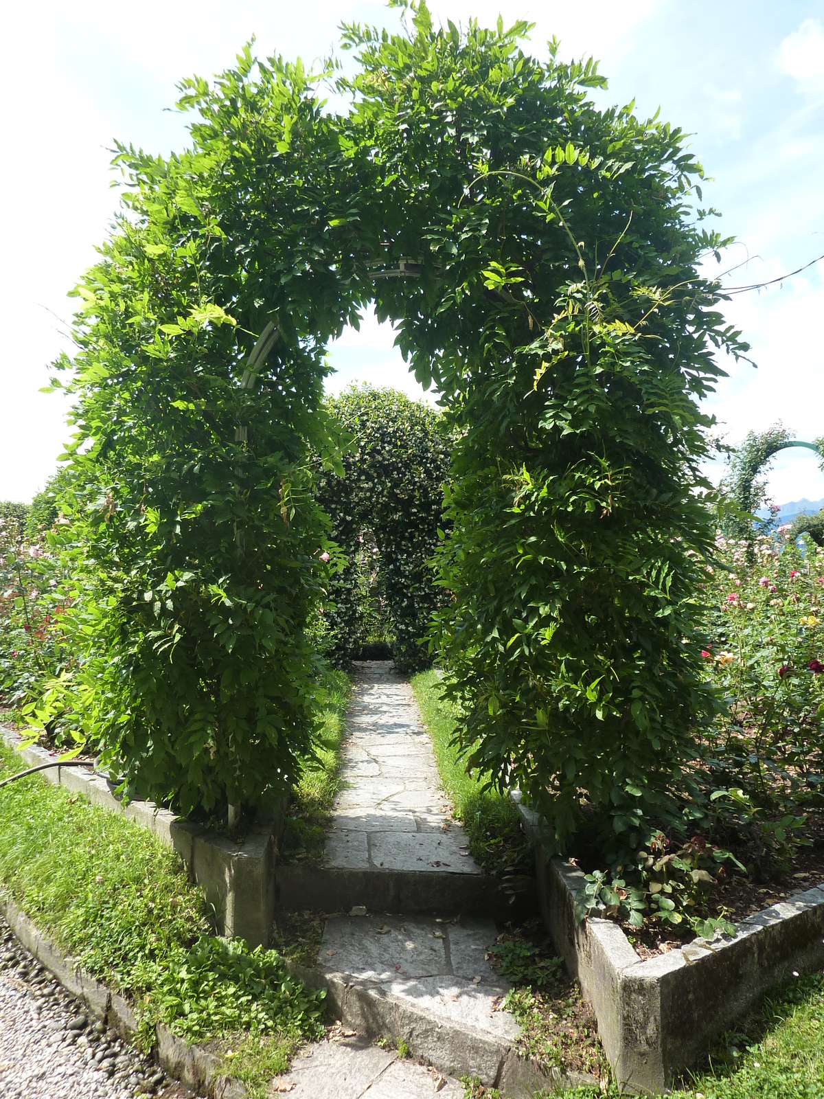 รูปถ่าย อิตาลี(Italy) วิลลาปัลลาวีชีโน(Villa Pallavicino) 2009-06 87