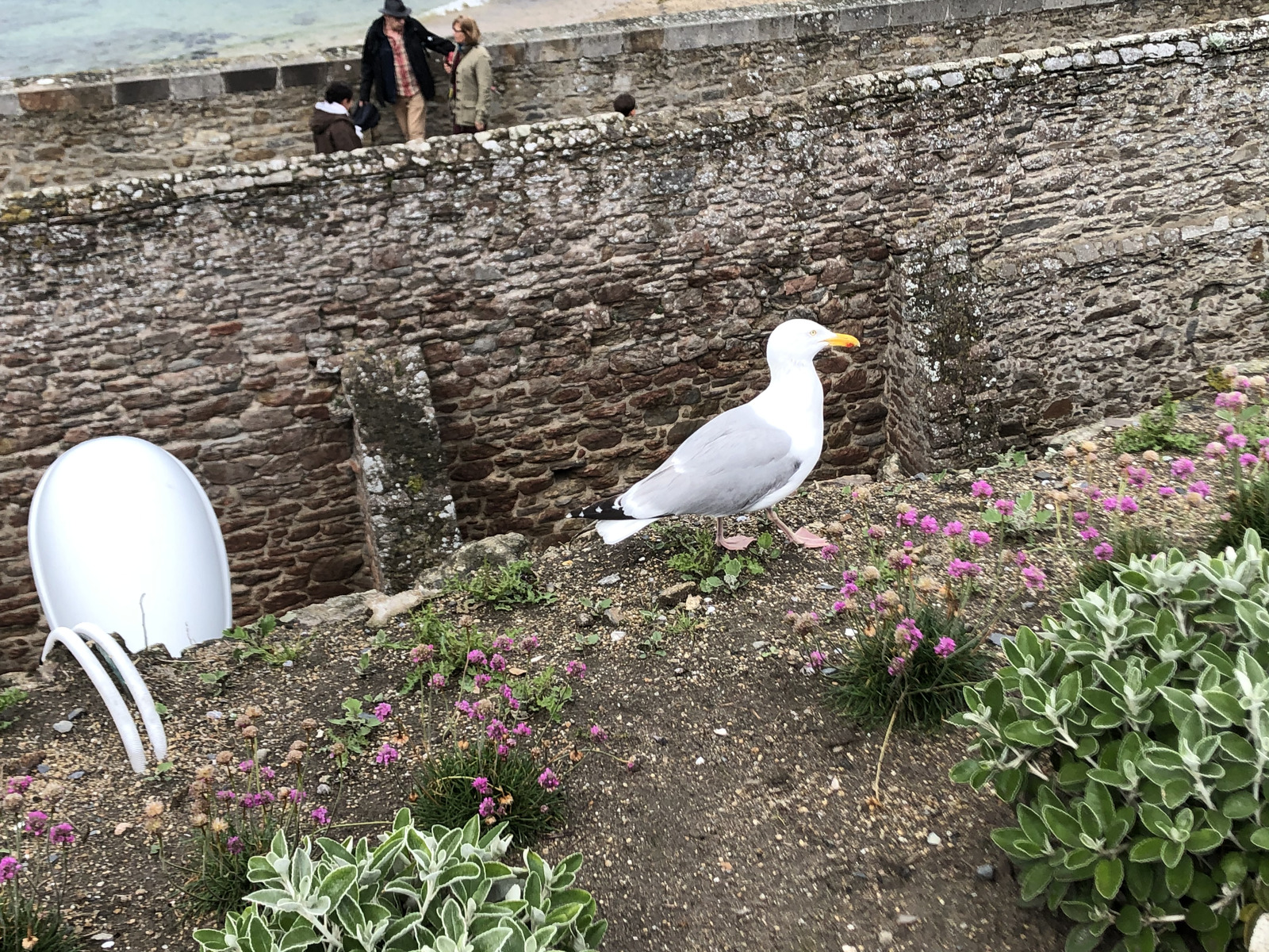 รูปถ่าย ฝรั่งเศส(France) แซ็งมาโล(St Malo) 2020-06 106
