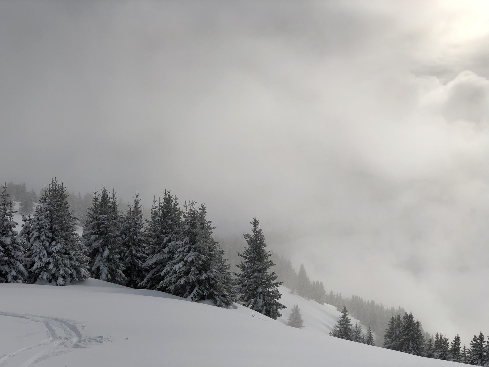 รูปถ่าย ฝรั่งเศส(France) ปรา-ซูร์-อาร์ลี(Praz sur Arly) 2019-12 465