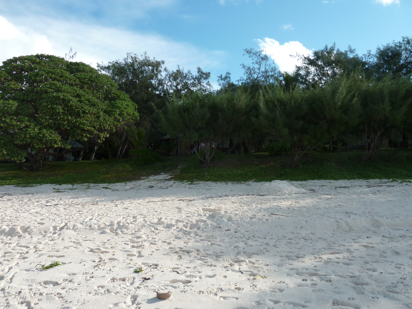 รูปถ่าย นิวแคลิโดเนีย(New Caledonia) เกาะลีฟู(Lifou) อ่าวชาโตบรีย็อง(Chateaubriand Bay) 2010-05 38