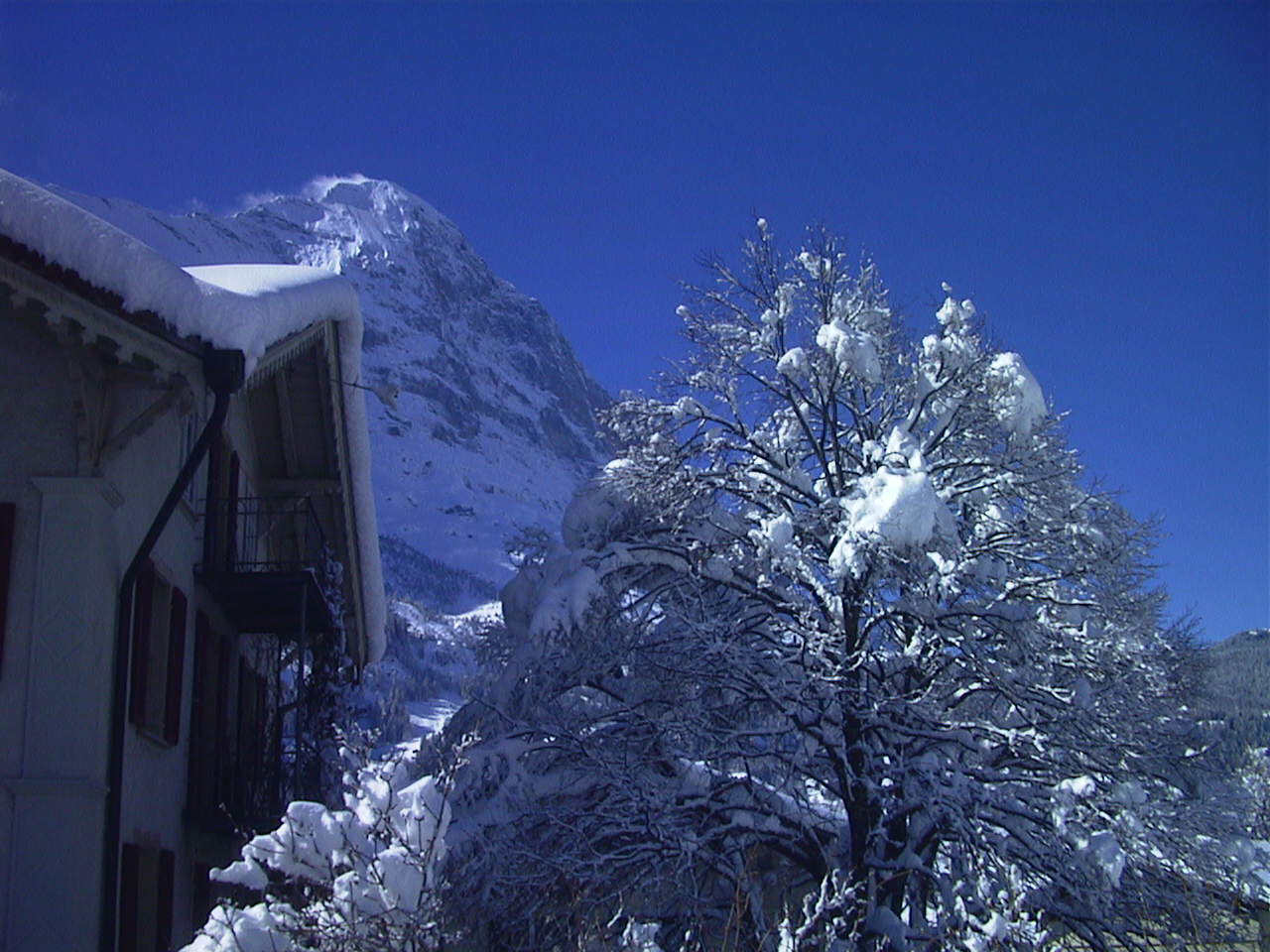 รูปถ่าย สวิสเซอร์แลนด์(Switzerland) กรินเดลวัลด์(Grindelwald) 1999-04 10