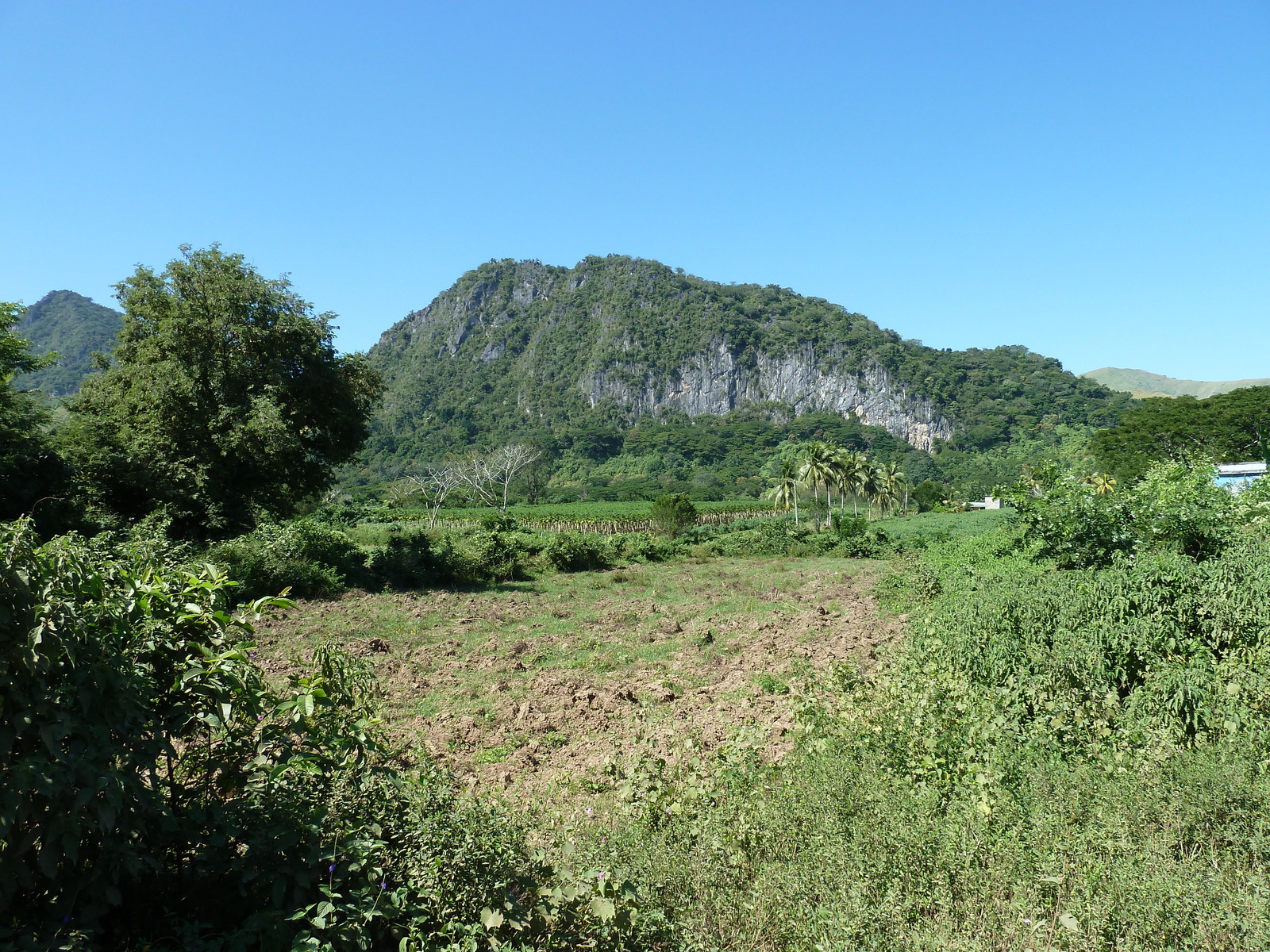 รูปถ่าย ฟิจิ(Fiji) แม่น้ำซิงกาโตกา(Sigatoka river) 2010-05 28