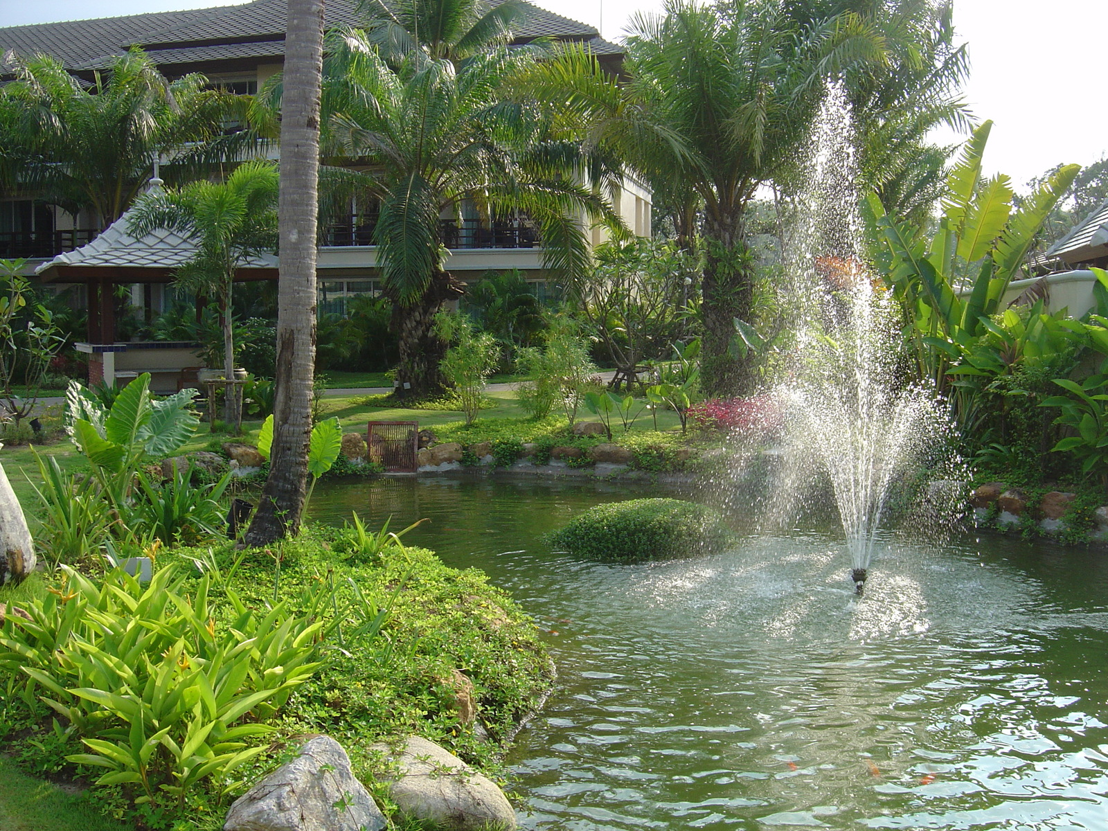 รูปถ่าย ไทย(Thailand) เขาหลัก(Khao Lak) โรงแรมเลอเมอริเดียน เขาหลัก(Meridien Khao Lak Hotel) 2005-12 106