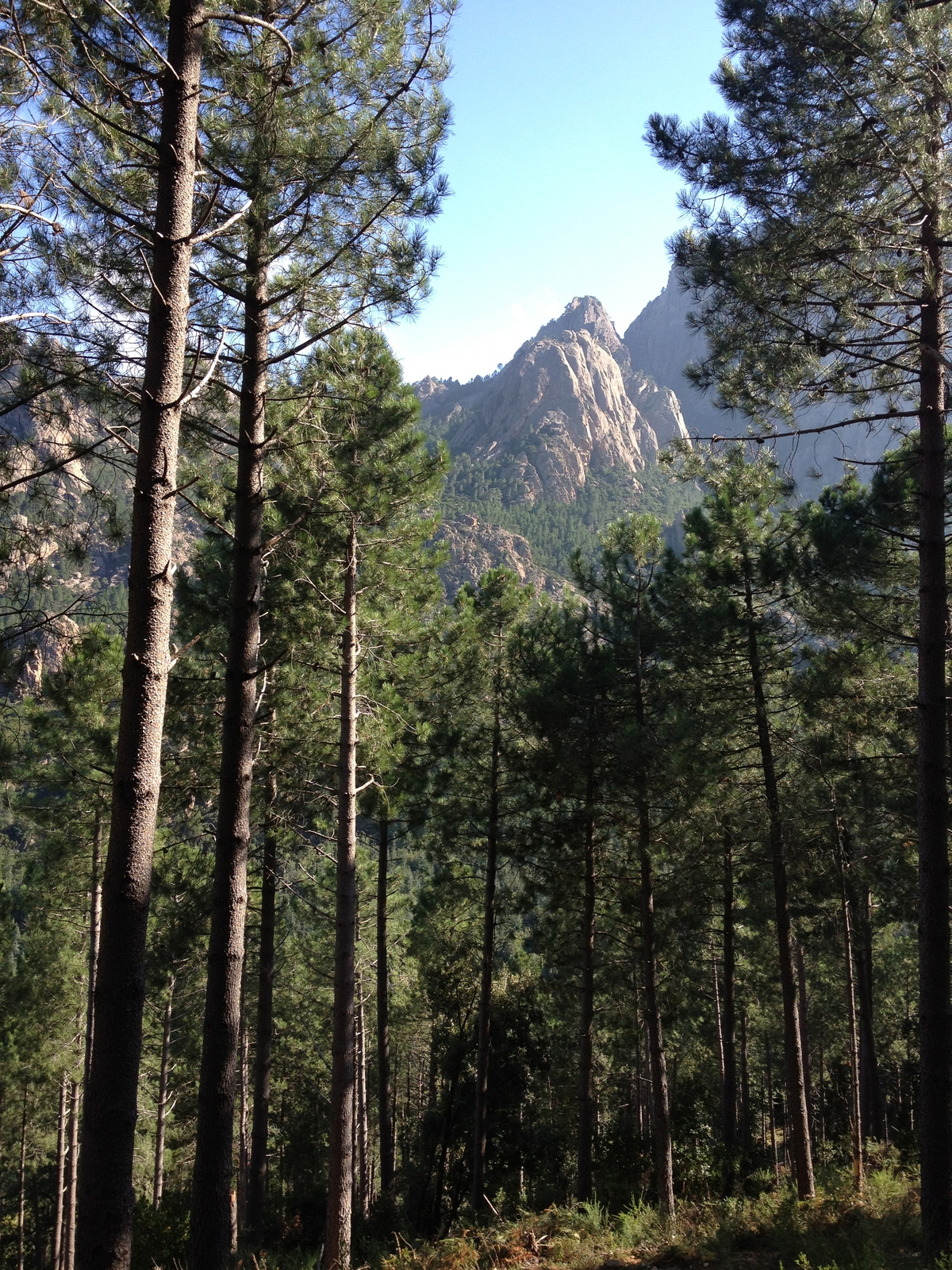 รูปถ่าย ฝรั่งเศส(France) คอร์สิคา(Corsica) บาแวลลา(Bavella) 2012-09 78