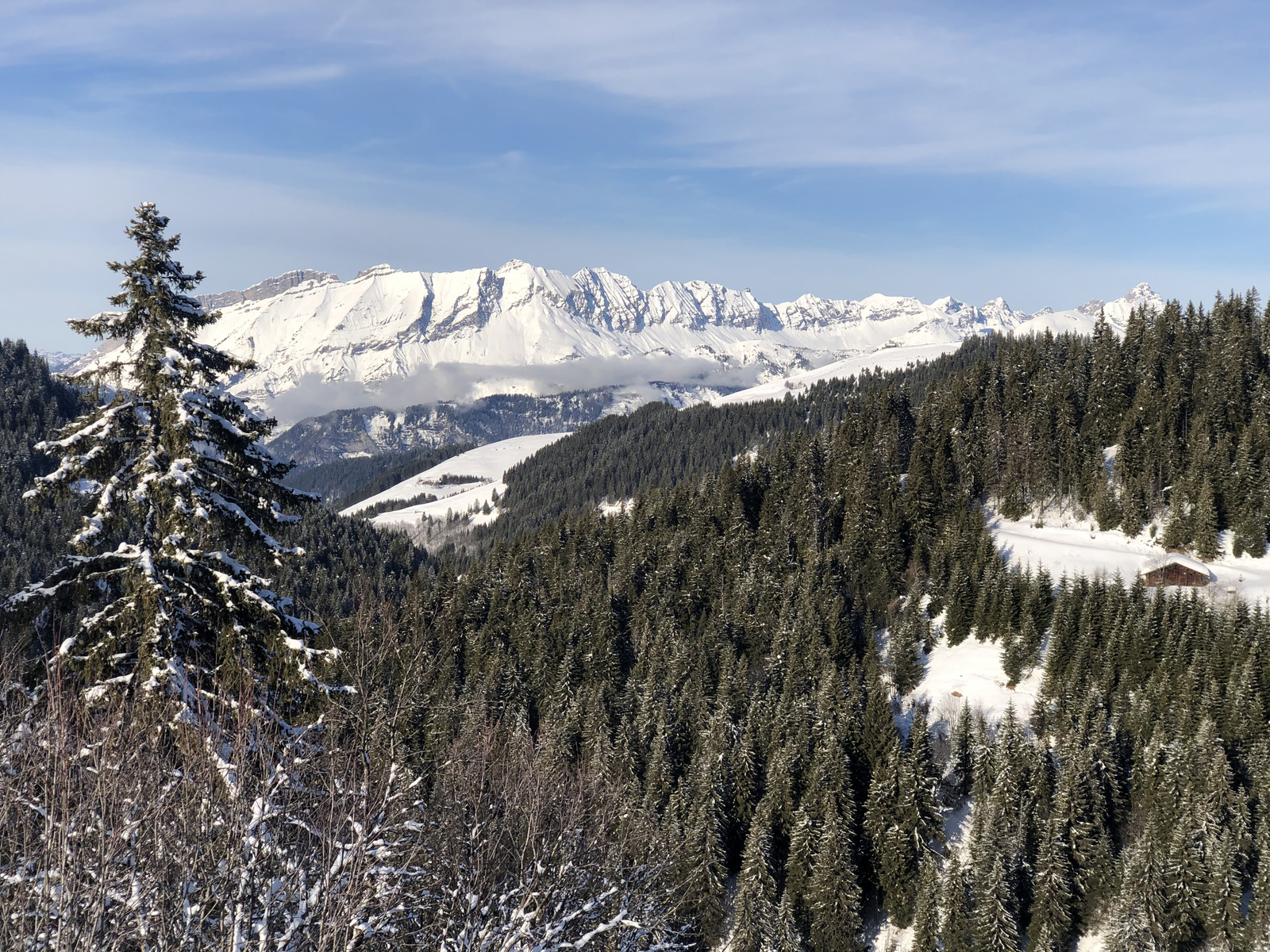 รูปถ่าย ฝรั่งเศส(France) ปรา-ซูร์-อาร์ลี(Praz sur Arly) 2019-12 301