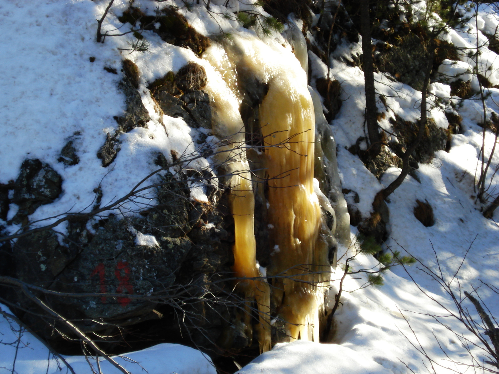 รูปถ่าย สวิสเซอร์แลนด์(Switzerland) จากปอนเตรซีนาไปลาโกเบียนโก(From Pontresina to Lago Bianco) 2007-01 66