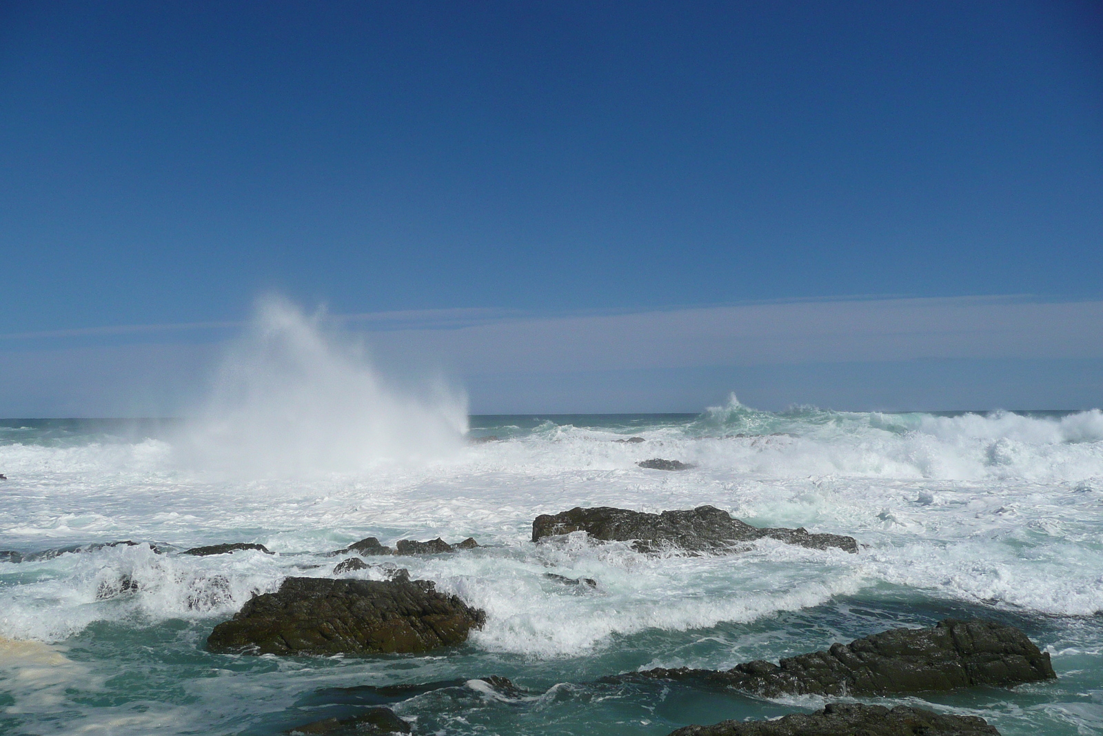 รูปถ่าย แอฟริกาใต้(South Africa) อุทยานแห่งชาติซิตซิคัมมา(Tsitsikamma National Park) 2008-09 255