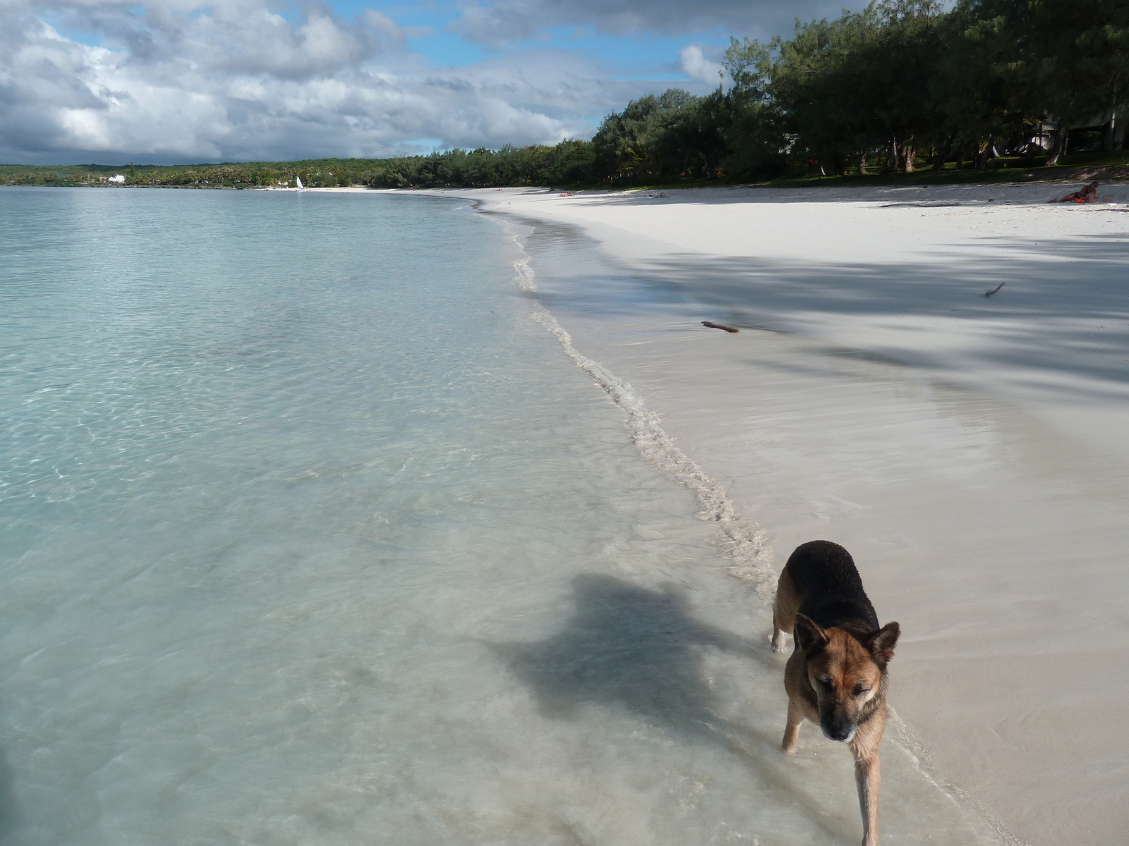 รูปถ่าย นิวแคลิโดเนีย(New Caledonia) เกาะลีฟู(Lifou) อ่าวชาโตบรีย็อง(Chateaubriand Bay) 2010-05 73