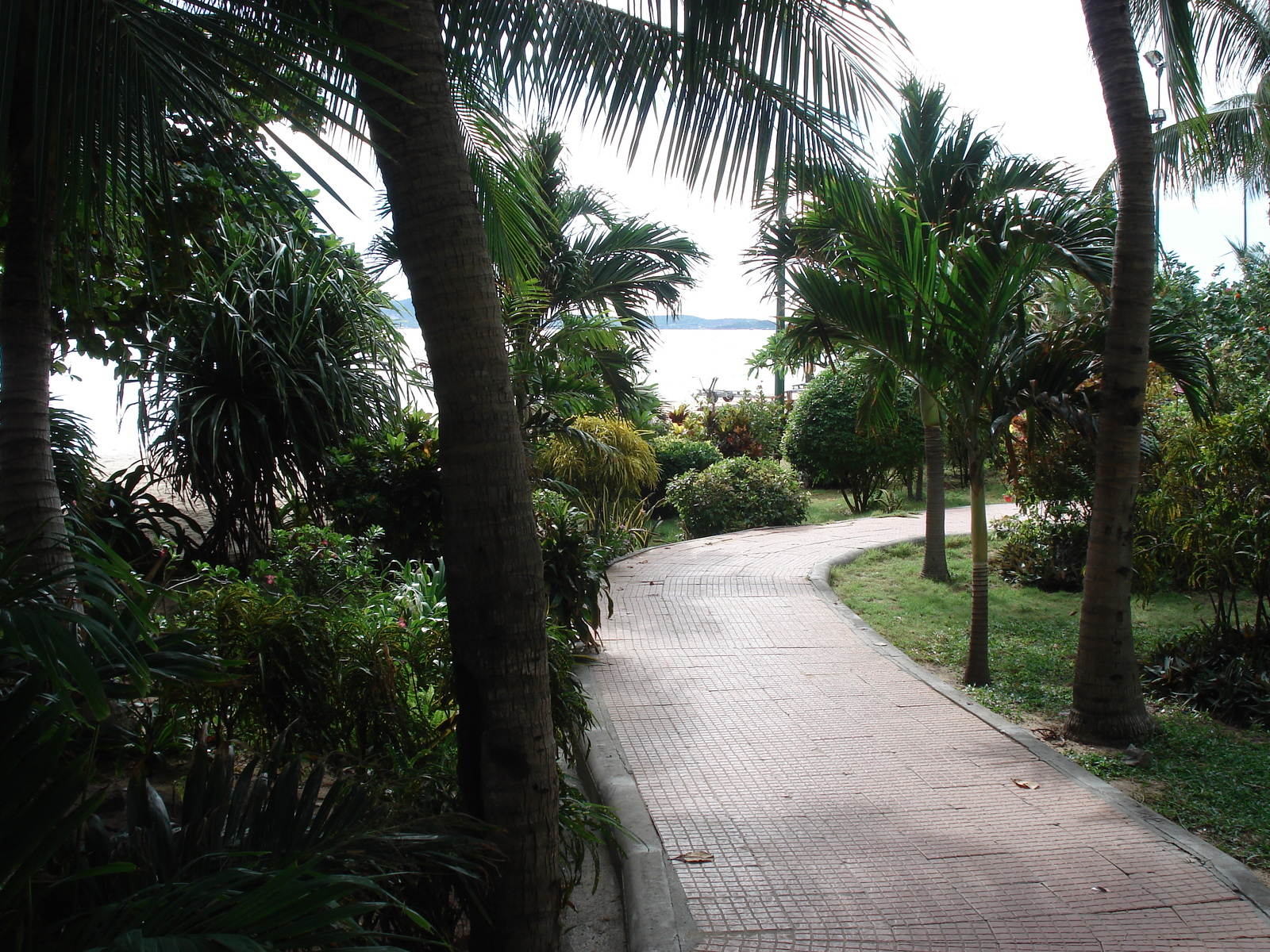 รูปถ่าย ไทย(Thailand) หาดจอมเทียน(Jomtien Beach) วิวทะเล โครงการ 3(Viewtalay project 3) 2006-09 2