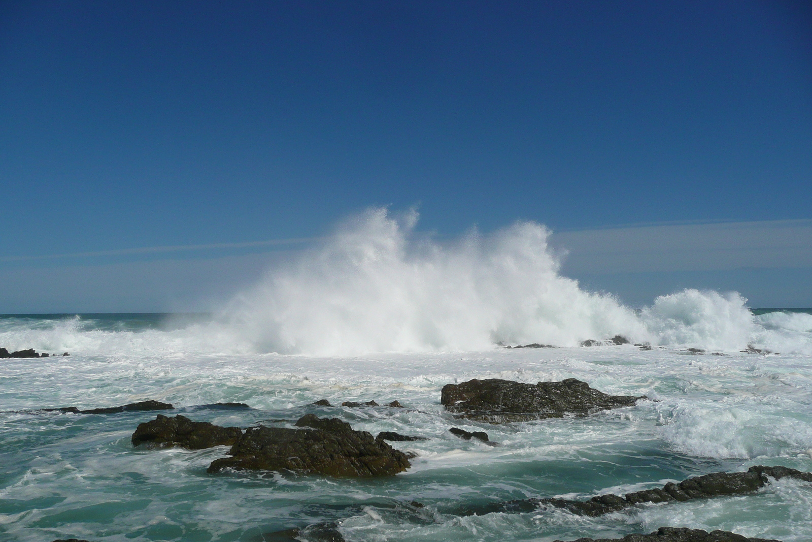 รูปถ่าย แอฟริกาใต้(South Africa) อุทยานแห่งชาติซิตซิคัมมา(Tsitsikamma National Park) 2008-09 171