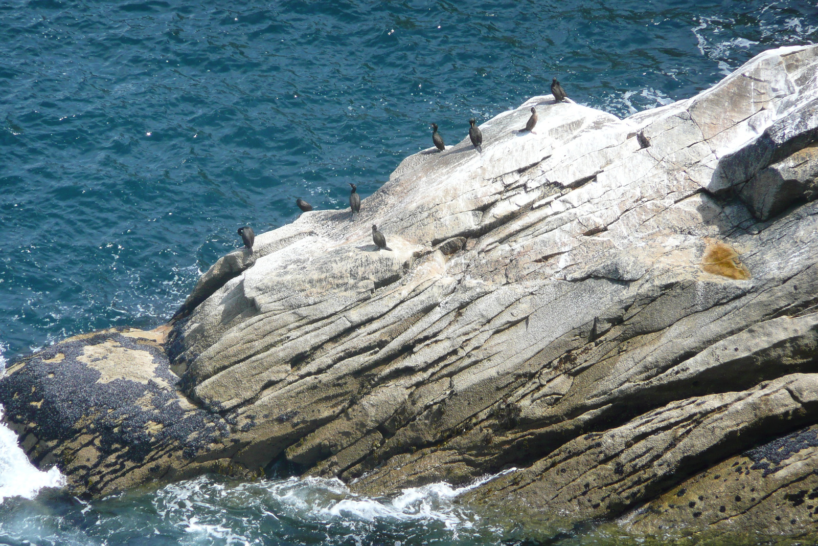 รูปถ่าย ฝรั่งเศส(France) แหลมรา(Pointe du Raz) 2008-07 32