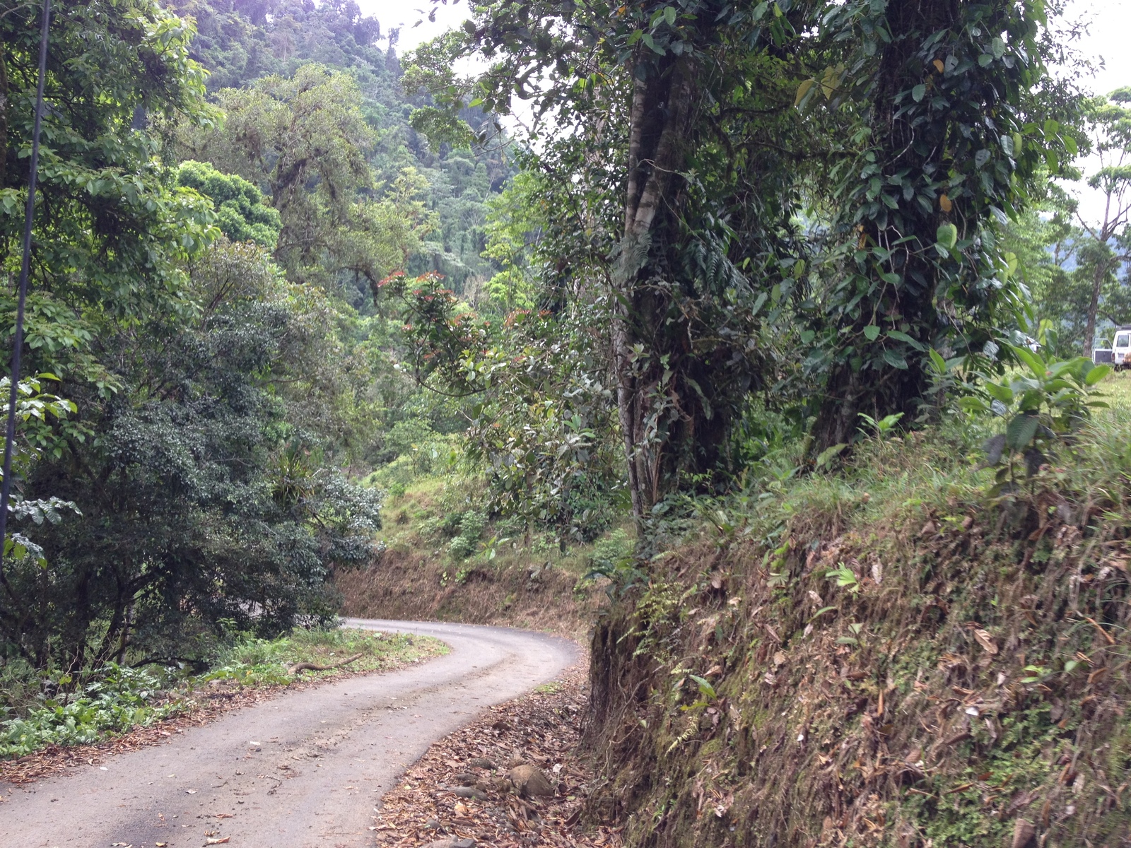 รูปถ่าย คอสตาริกา(Costa Rica) แม่น้ำปากัวเร(Pacuare River) 2015-03 191