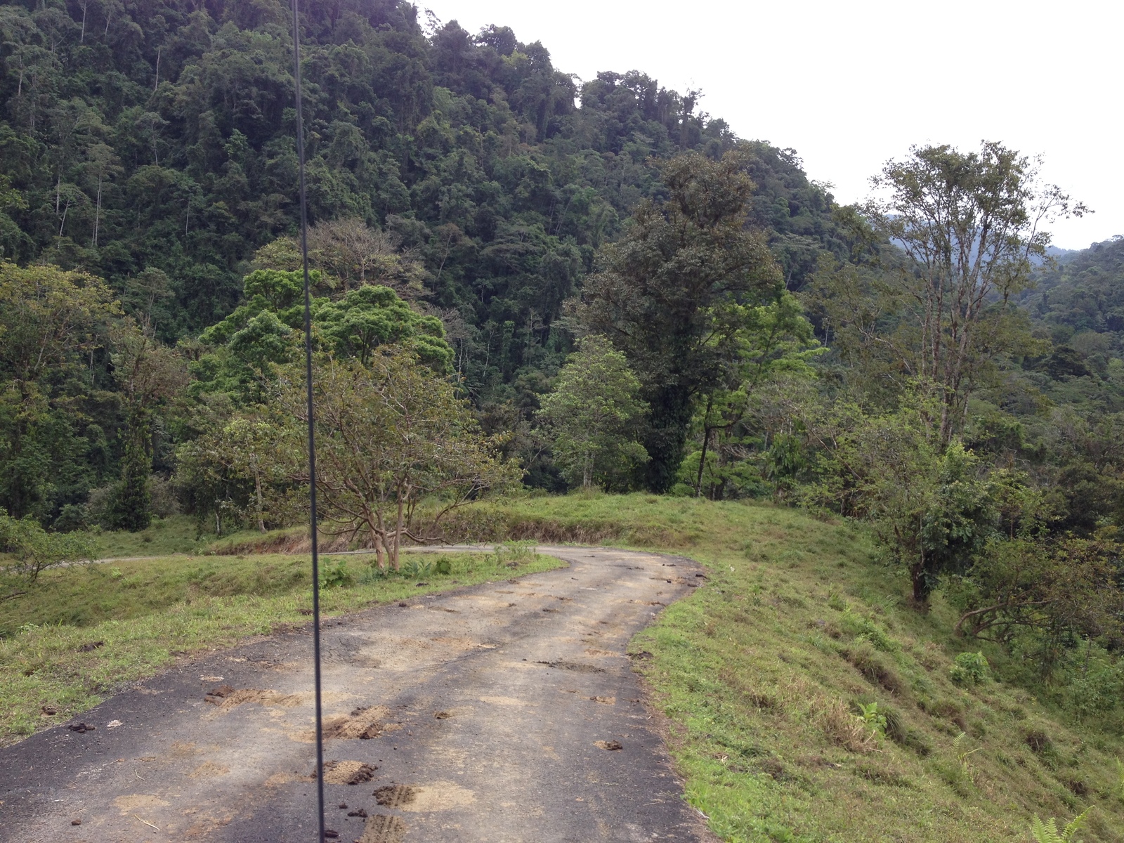รูปถ่าย คอสตาริกา(Costa Rica) แม่น้ำปากัวเร(Pacuare River) 2015-03 201
