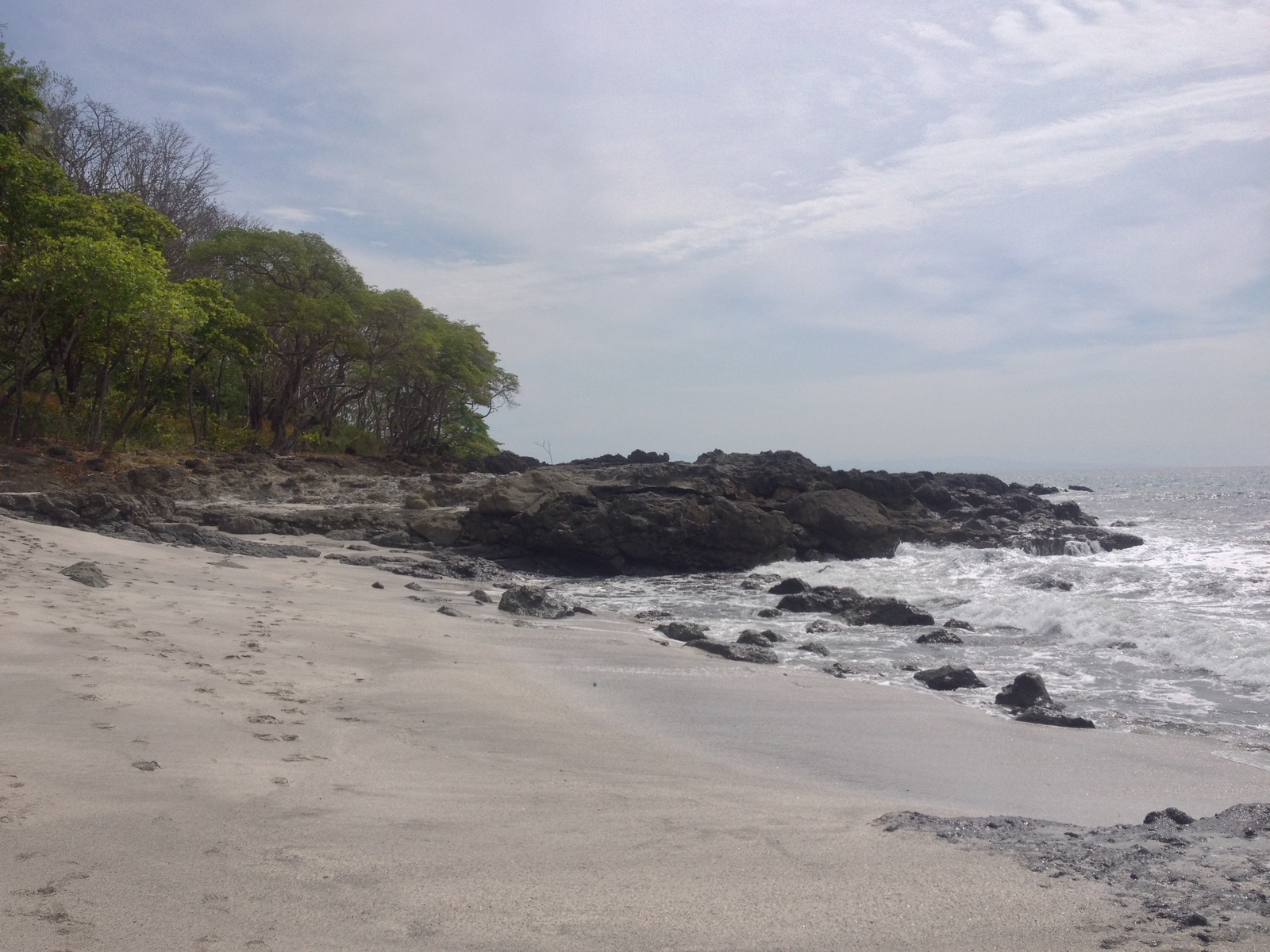 รูปถ่าย คอสตาริกา(Costa Rica) มอนเตซูมา(Montezuma) 2015-03 116