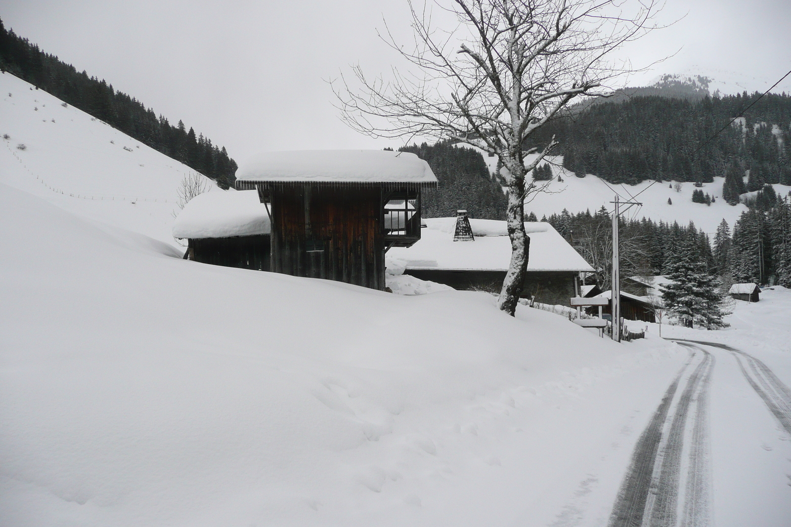 รูปถ่าย ฝรั่งเศส(France) เมแฌฟว์(Megeve) เลอปลาเน(Le Planay) 2010-02 42
