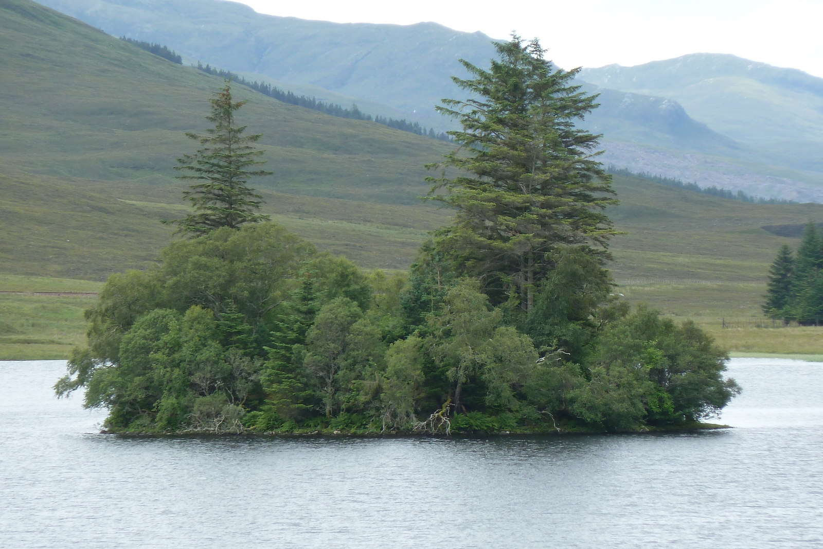 รูปถ่าย อังกฤษ(United Kingdom) สกอตแลนด์(Scotland) 2011-07 240