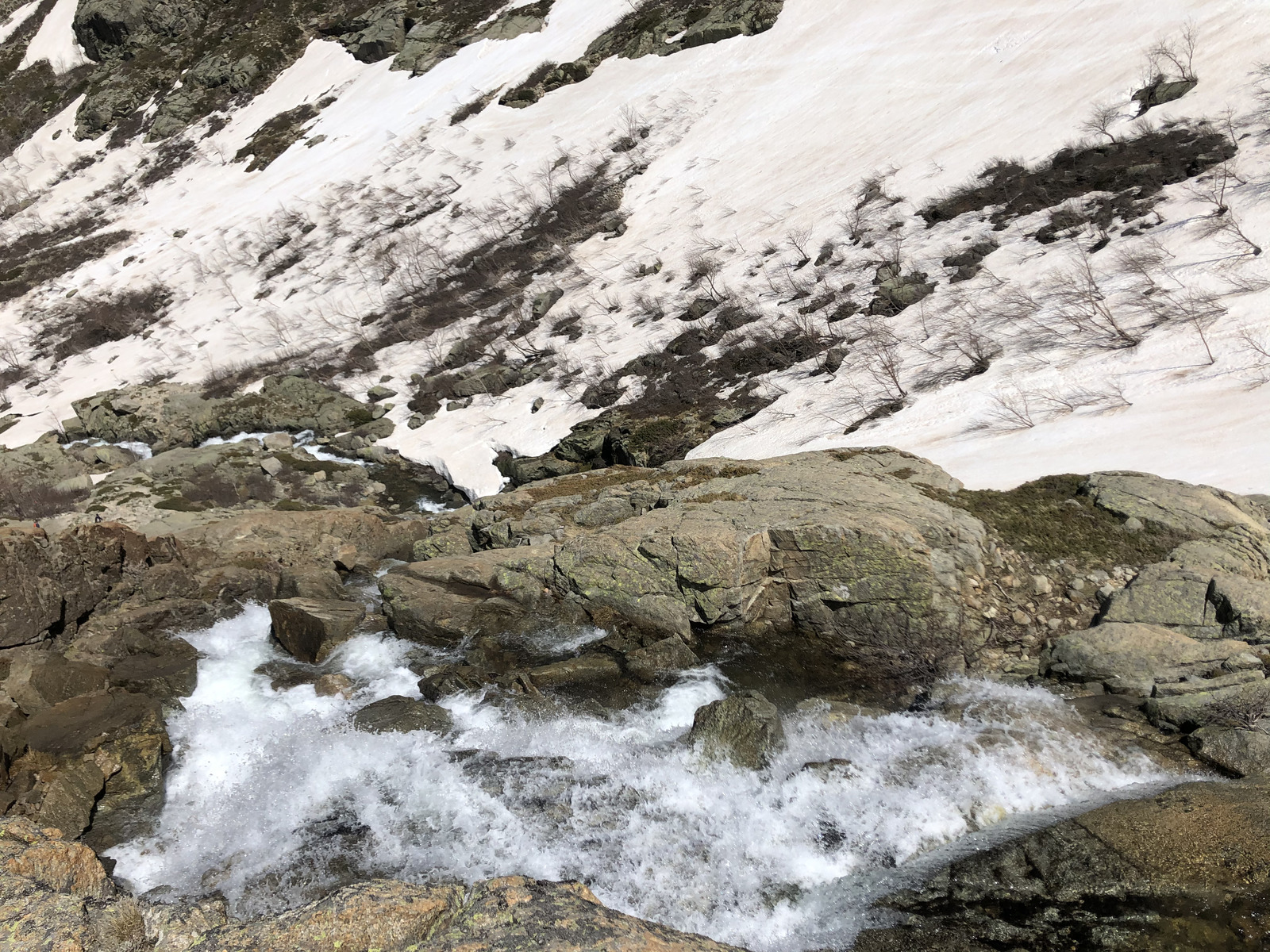 รูปถ่าย ฝรั่งเศส(France) คอร์สิคา(Corsica) ทะเลสาบเมโลและกาปีเตลโล(Lac de Melo et Capitello) 2021-06 157