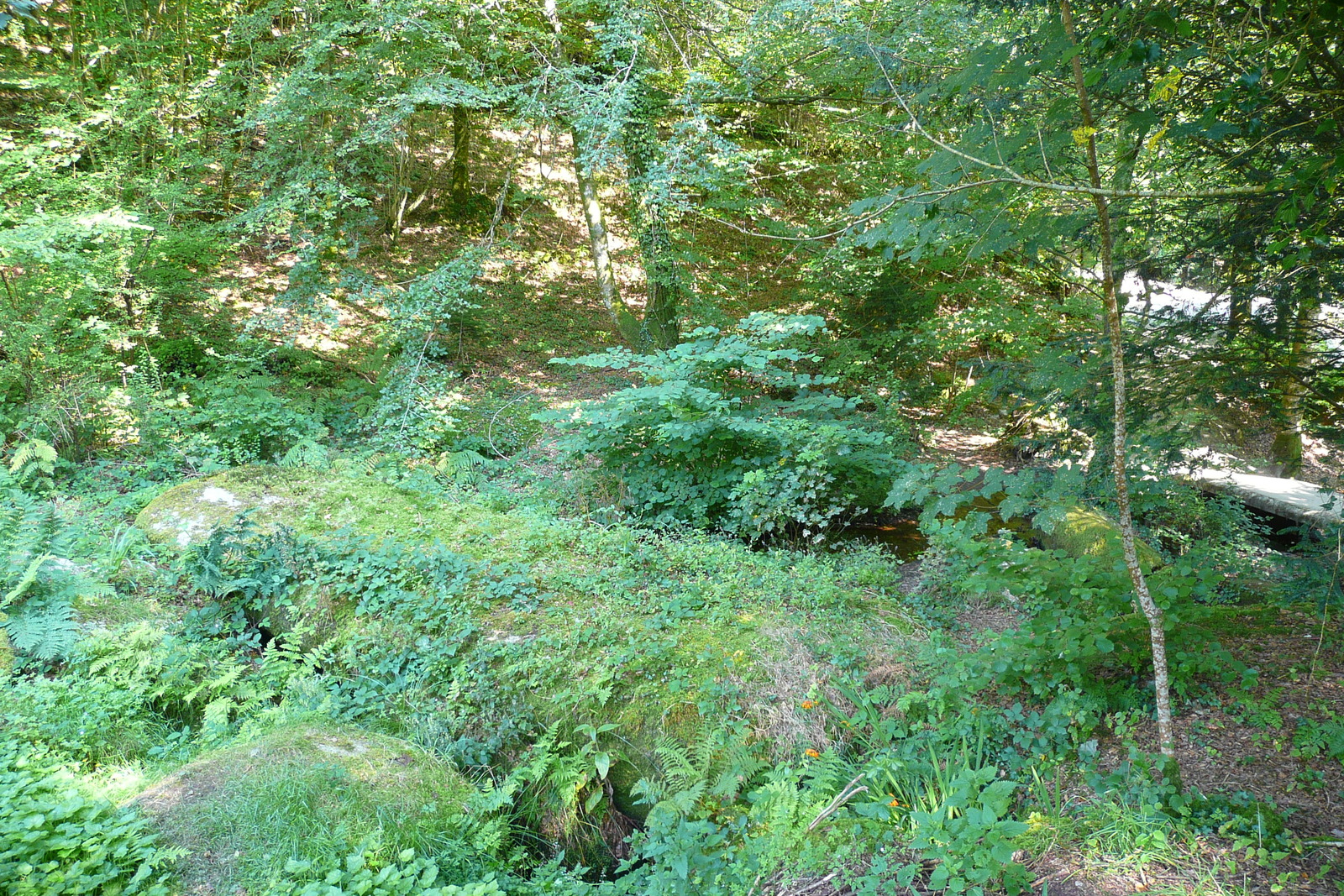 รูปถ่าย ฝรั่งเศส(France) อูแอลโกแอท(Huelgoat) 2007-08 48