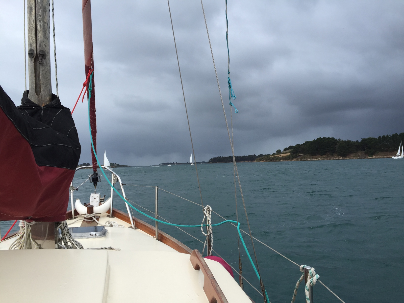 รูปถ่าย ฝรั่งเศส(France) อ่าวมอร์บีอ็อง(Golfe du Morbihan) 2016-08 78