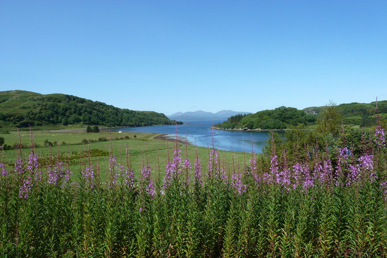 รูปถ่าย อังกฤษ(United Kingdom) สกอตแลนด์(Scotland) ทะเลสาบลอคลินนี(Loch Linnhe) 2011-07 21