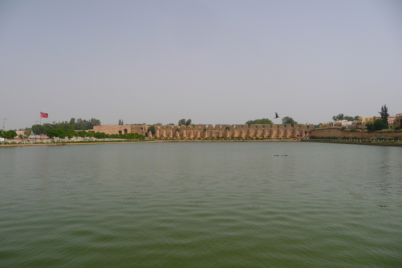 รูปถ่าย โมร็อกโก(Morocco) เม็กเนส(Meknes) 2008-07 71