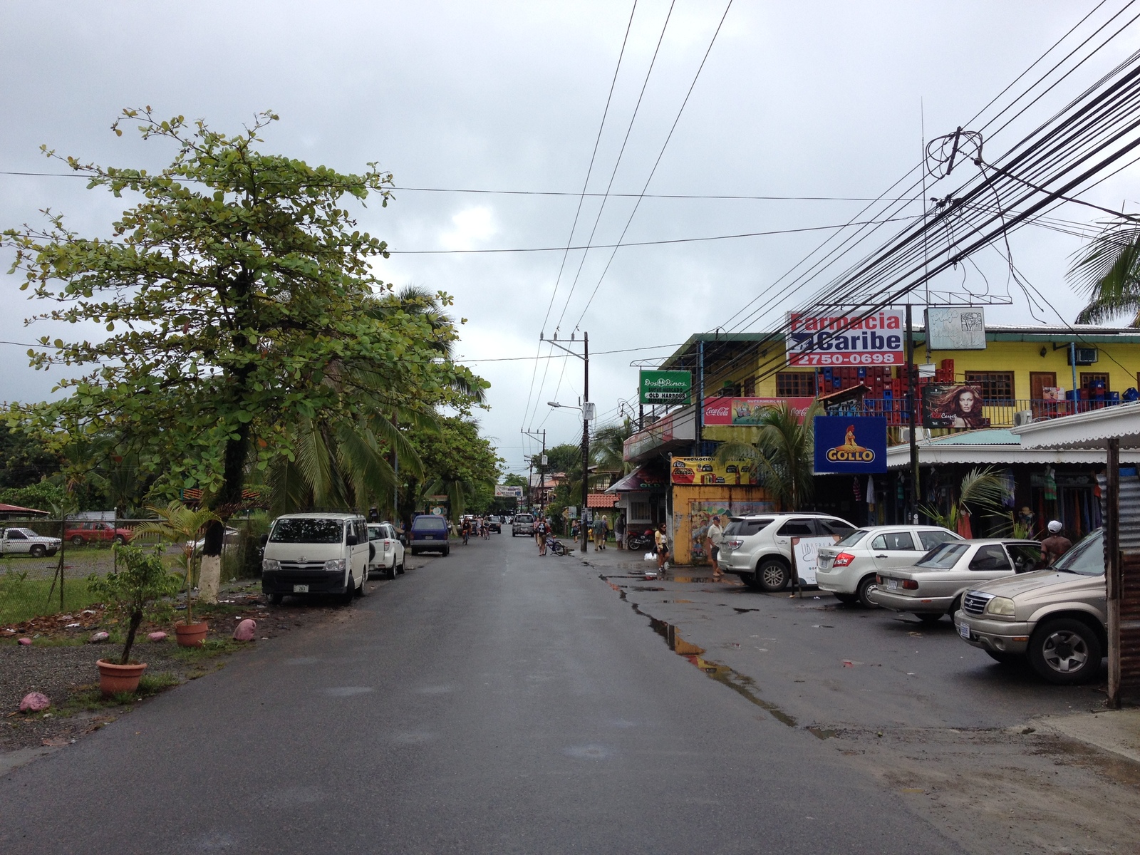 รูปถ่าย คอสตาริกา(Costa Rica) ปวยร์โตเบียโฆเดตาลามังกา(Puerto Viejo de Talamanca) 2015-03 83