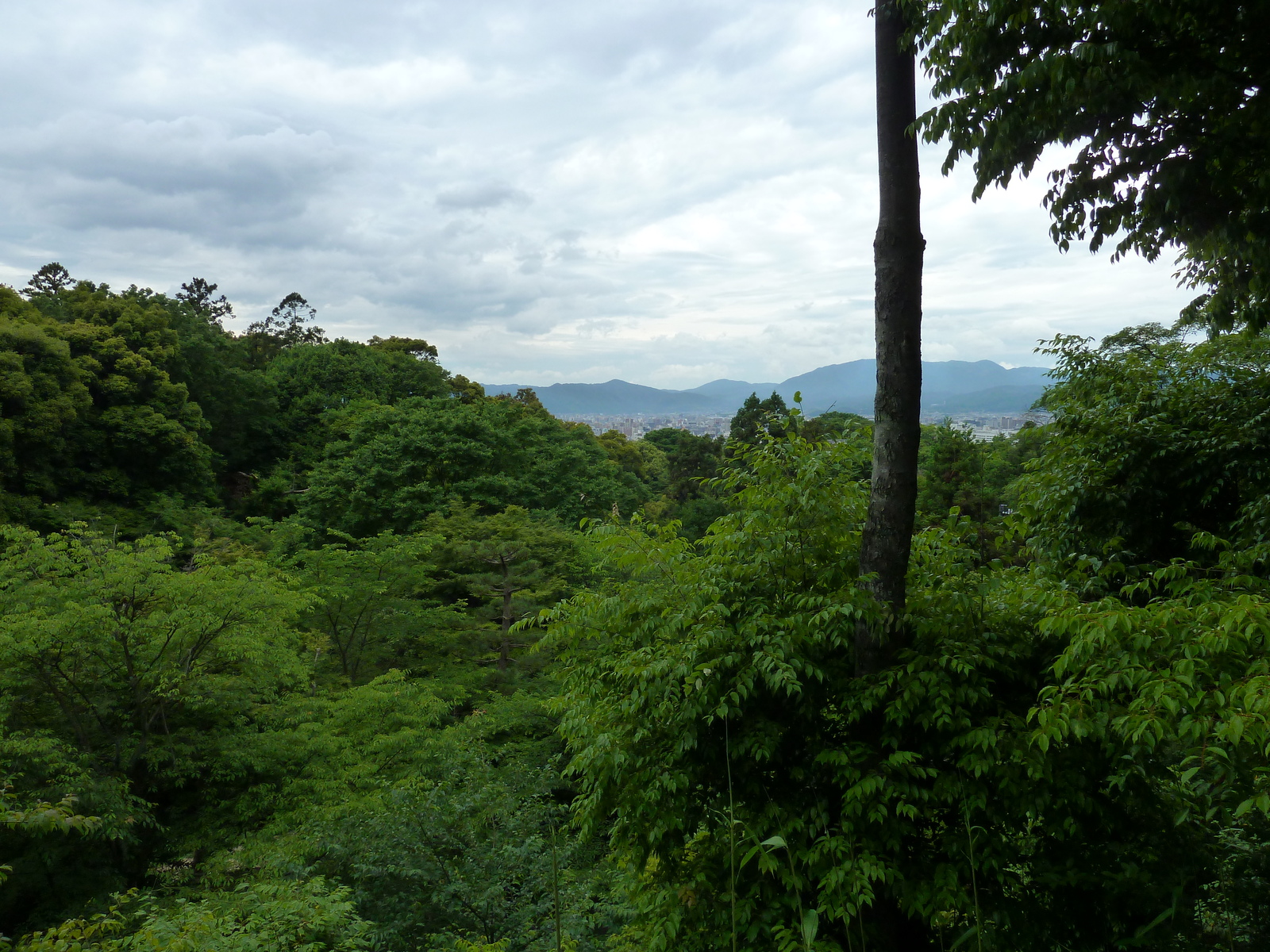 รูปถ่าย ญี่ปุ่น(Japan) เกียวโต(Kyoto) วัดคิโยมิซุเดระ(Kiyomizu Dera Temple) 2010-06 65