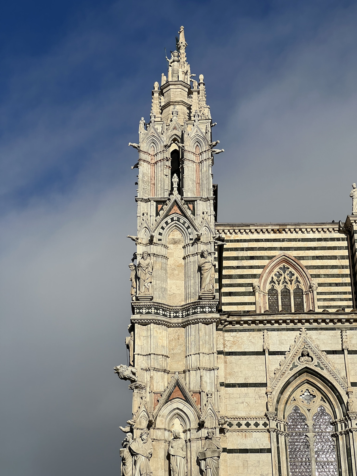รูปถ่าย อิตาลี(Italy) ซีเอน่า(Siena) มหาวิหารเซียนา(Duomo di Siena) 2021-09 59