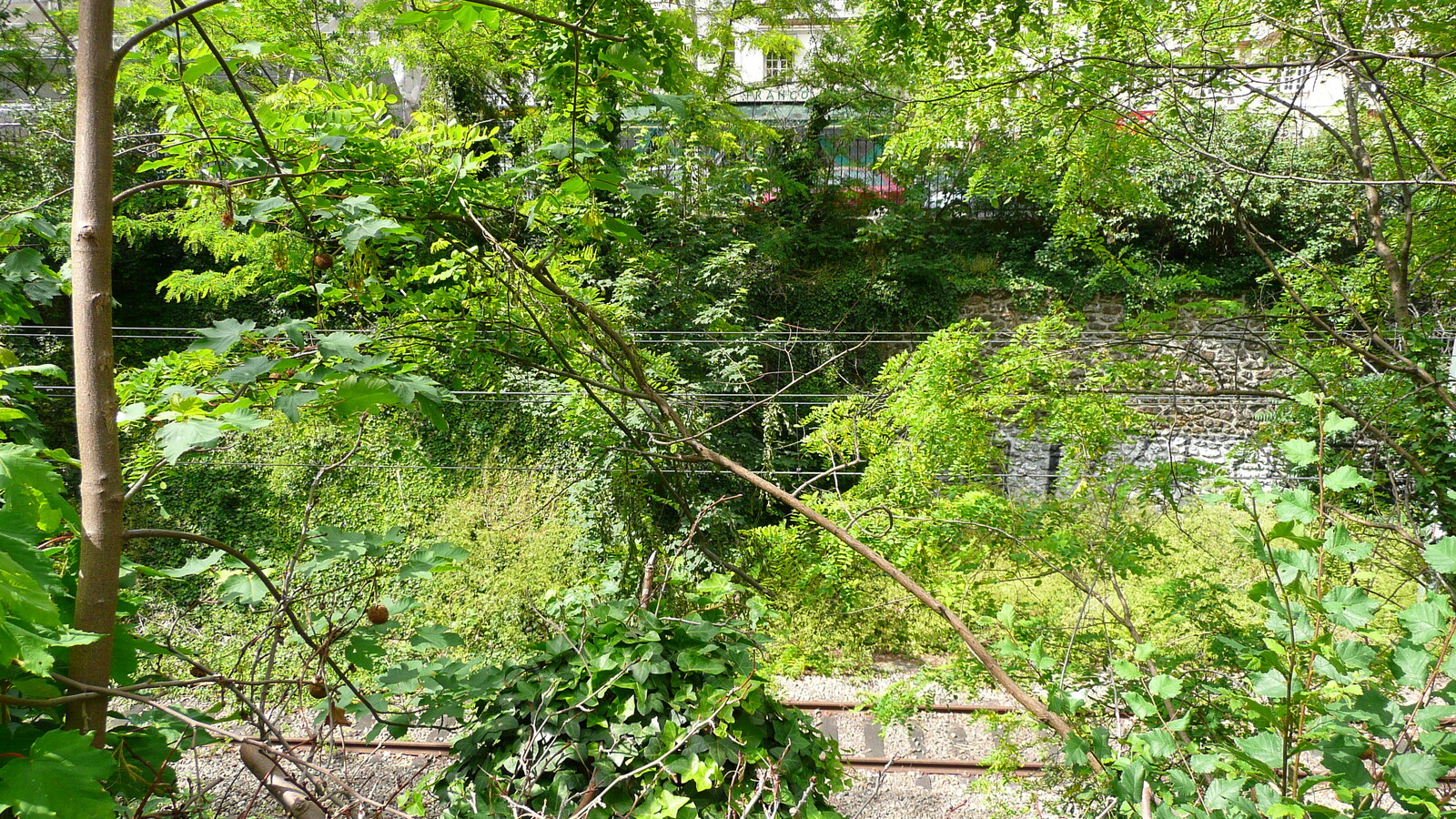 รูปถ่าย ฝรั่งเศส(France) ปารีส(Paris) คุ้มที่ 17 (17th Arrondissement) ถนนแปแรร์(Boulevard Pereire) 2007-05 63