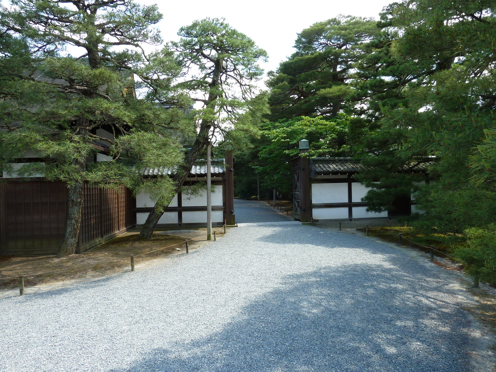 รูปถ่าย ญี่ปุ่น(Japan) เกียวโต(Kyoto) พระราชวังหลวงเกียวโต(Kyoto Imperial Palace) 2010-06 150