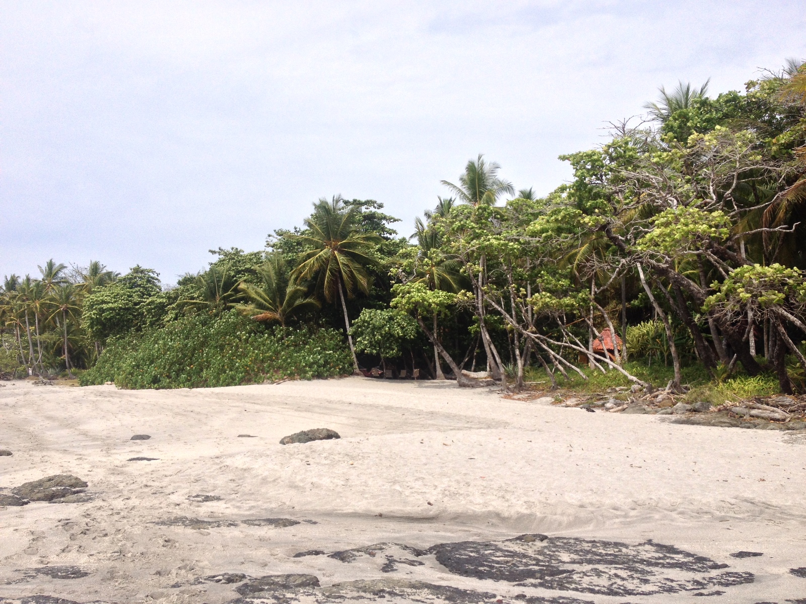 รูปถ่าย คอสตาริกา(Costa Rica) มอนเตซูมา(Montezuma) 2015-03 492