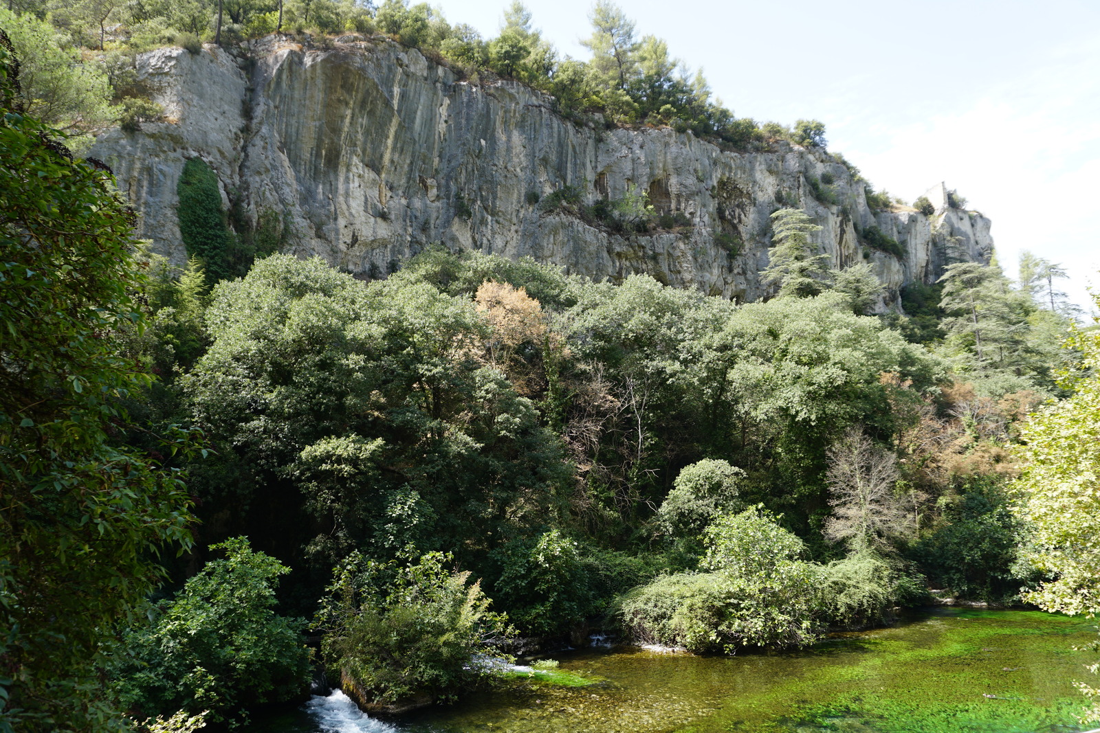 รูปถ่าย ฝรั่งเศส(France) ฟงแตน-เดอ-โวกลูซ(Fontaine-de-Vaucluse) 2017-08 9