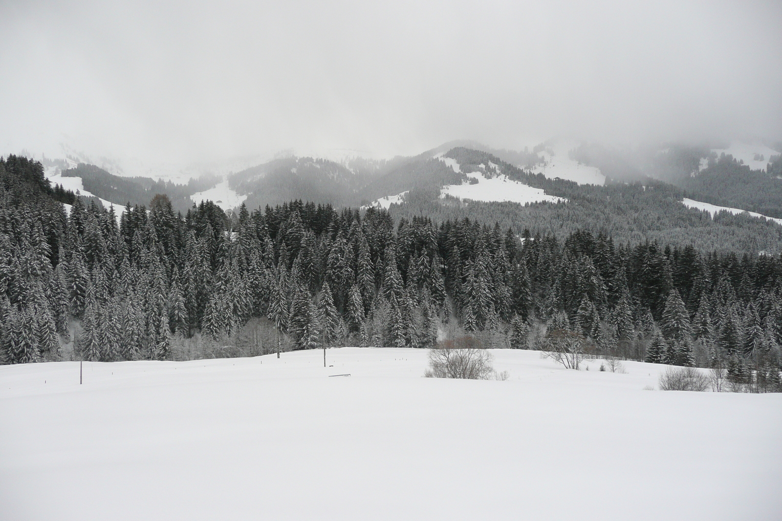 รูปถ่าย ฝรั่งเศส(France) เมแฌฟว์(Megeve) เลอปลาเน(Le Planay) 2010-02 53