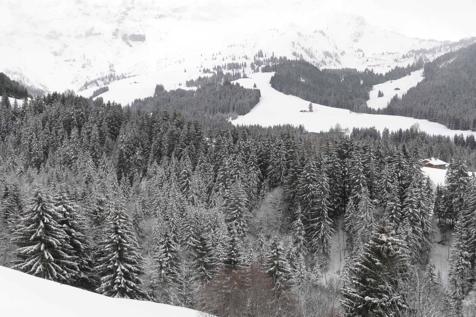 รูปถ่าย ฝรั่งเศส(France) เมแฌฟว์(Megeve) เลอปลาเน(Le Planay) 2010-02 29