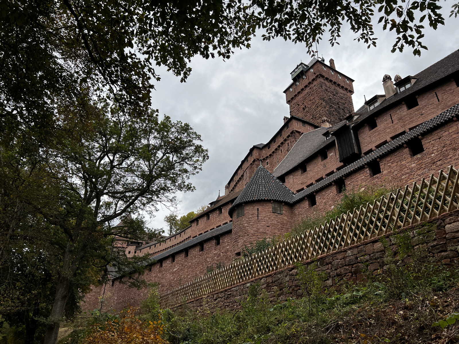 รูปถ่าย ฝรั่งเศส(France) ปราสาทโอ-เคอนิกส์บูร์ก(Koenigsbourg Castle) 2023-10 74