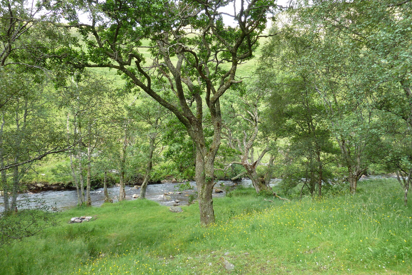 รูปถ่าย อังกฤษ(United Kingdom) เวสเตอร์รอสส์(Wester Ross) 2011-07 111