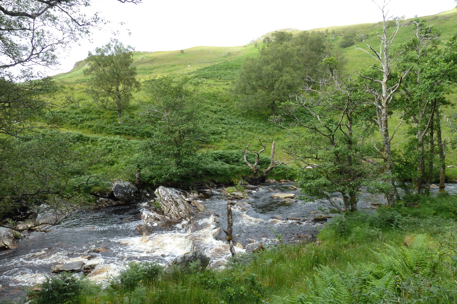 รูปถ่าย อังกฤษ(United Kingdom) เวสเตอร์รอสส์(Wester Ross) 2011-07 136