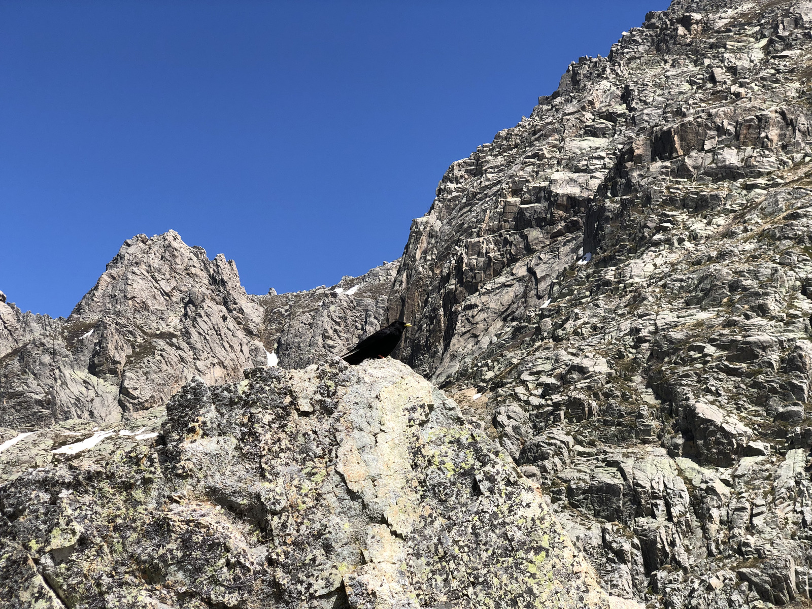 รูปถ่าย ฝรั่งเศส(France) คอร์สิคา(Corsica) ทะเลสาบเมโลและกาปีเตลโล(Lac de Melo et Capitello) 2021-06 107