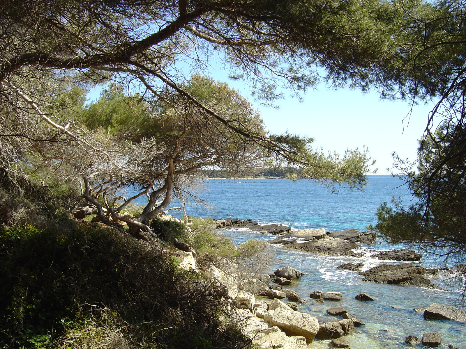 รูปถ่าย ฝรั่งเศส(France) คานส์(Cannes) เกาะแซ็งต์-มาร์เกอริต(Sainte Marguerite) 2004-05 32