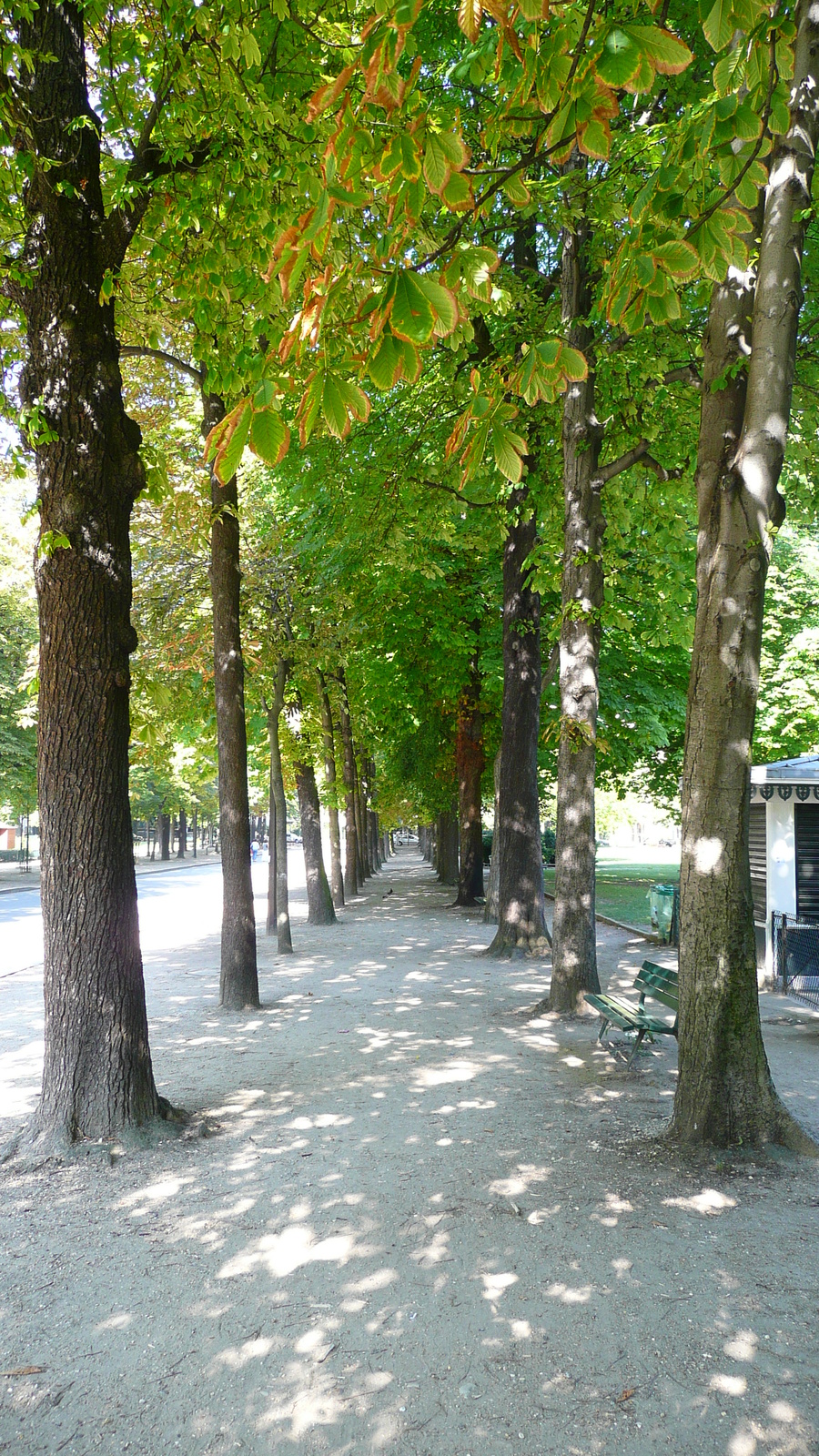 รูปถ่าย ฝรั่งเศส(France) ปารีส(Paris) สวนราเนอลาก(Jardins du Ranelagh) 2007-08 42