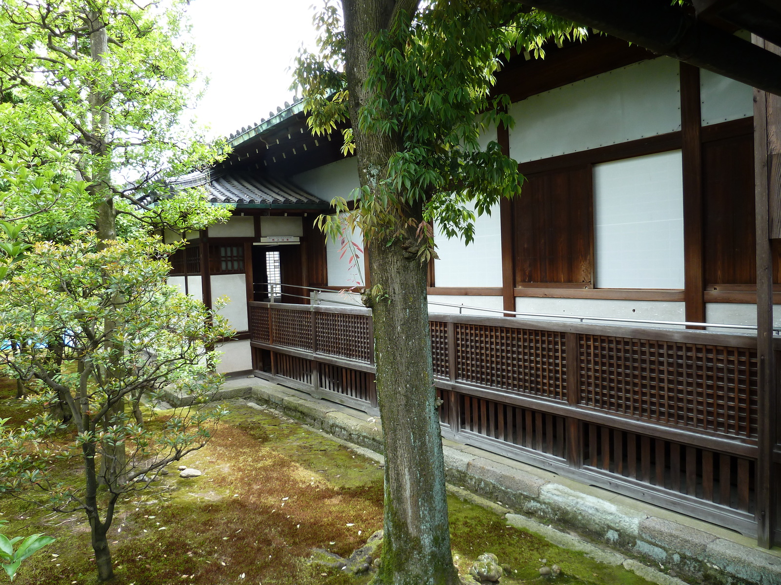 รูปถ่าย ญี่ปุ่น(Japan) เกียวโต(Kyoto) ปราสาทนิโจ(Nijo Castle) 2010-06 102