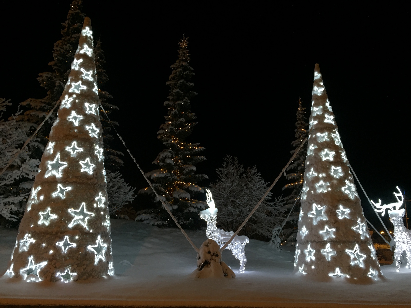 รูปถ่าย ฝรั่งเศส(France) เมแฌฟว์(Megeve) 2016-02 112