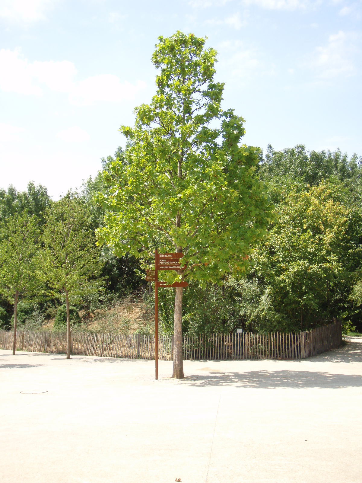 รูปถ่าย ฝรั่งเศส(France) วีลเนิฟ-ลา-การาน(Villeneuve La Garenne) สวนช็องเตอแรน(Parc des Chanteraines) 2007-07 3